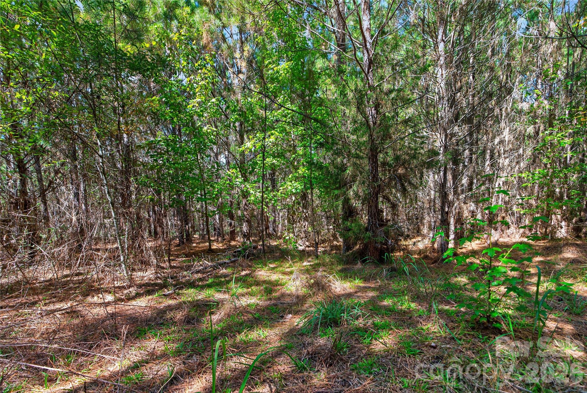 0000 Narrow Bridge Road 3 Property Photo 15