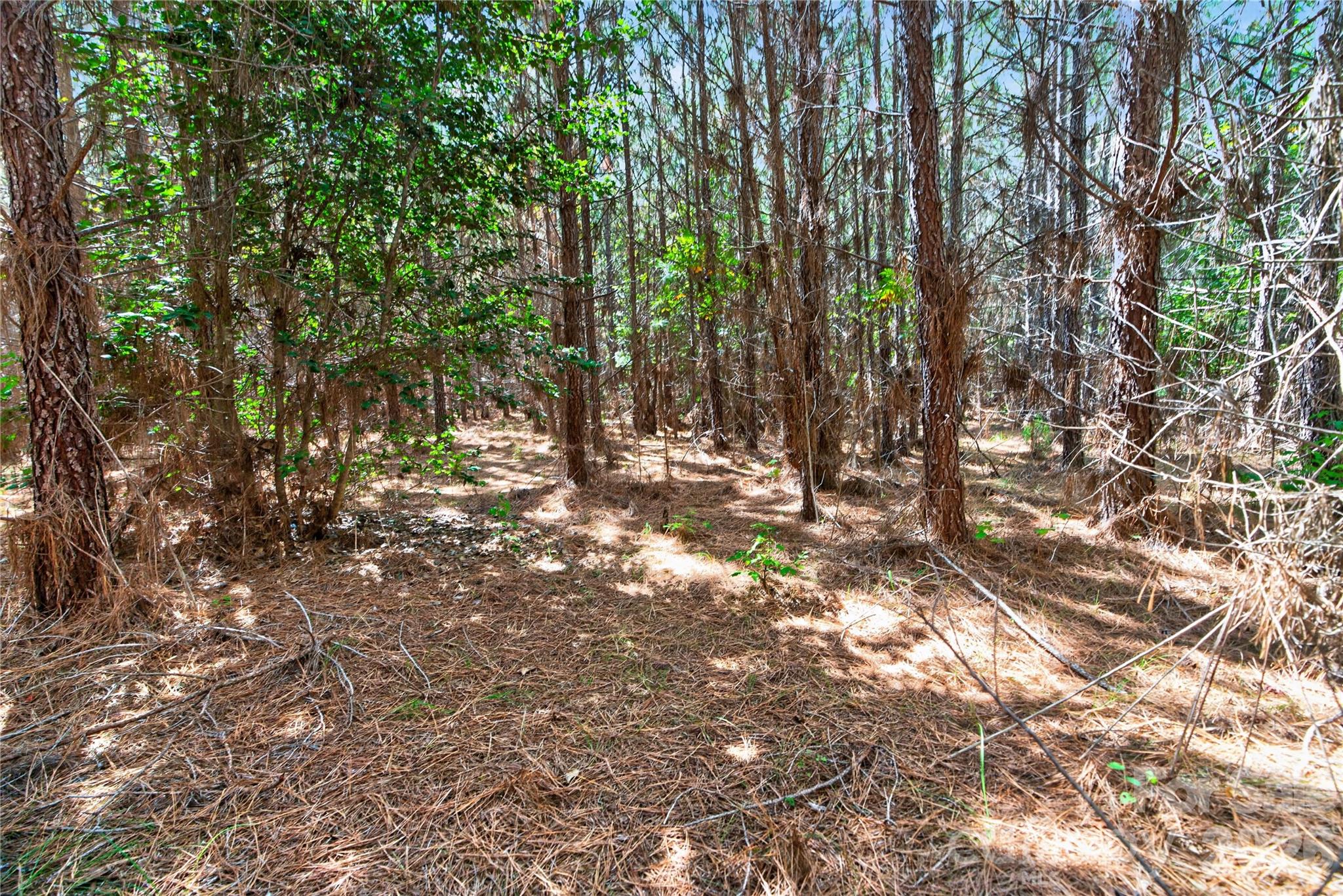 0000 Narrow Bridge Road 3 Property Photo 16