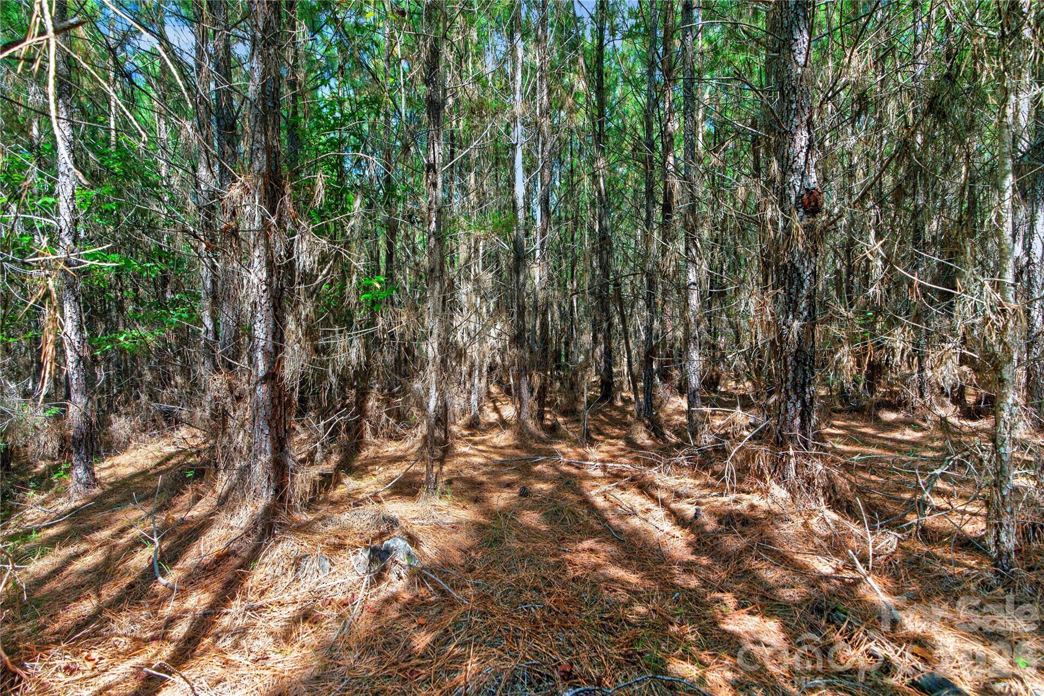 0000 Narrow Bridge Road 3 Property Photo 17