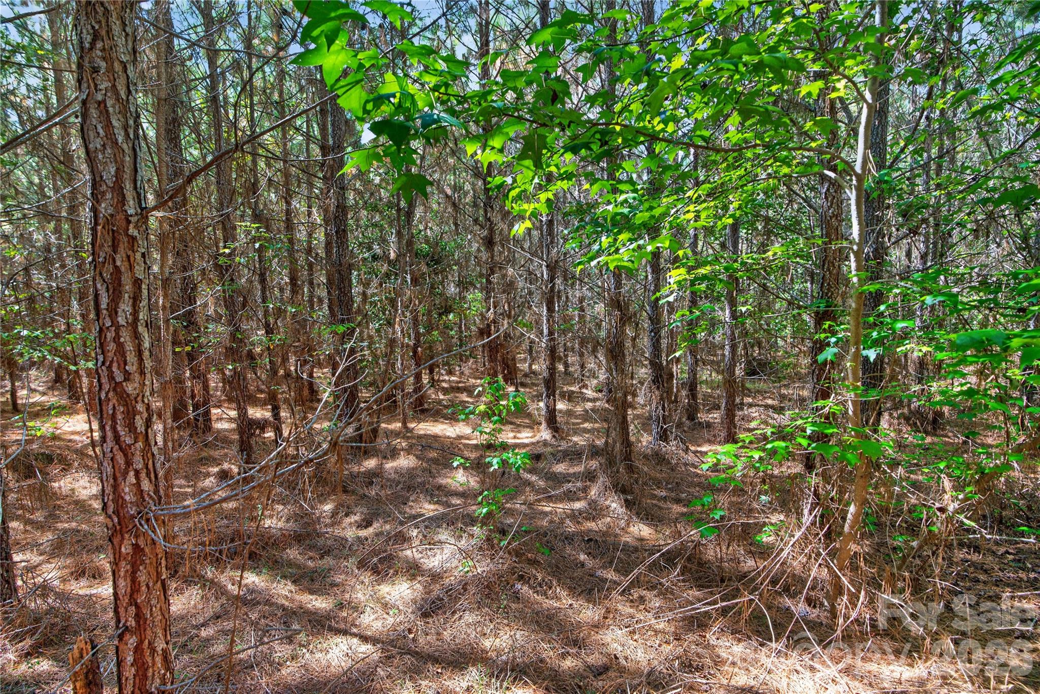 0000 Narrow Bridge Road 3 Property Photo 18