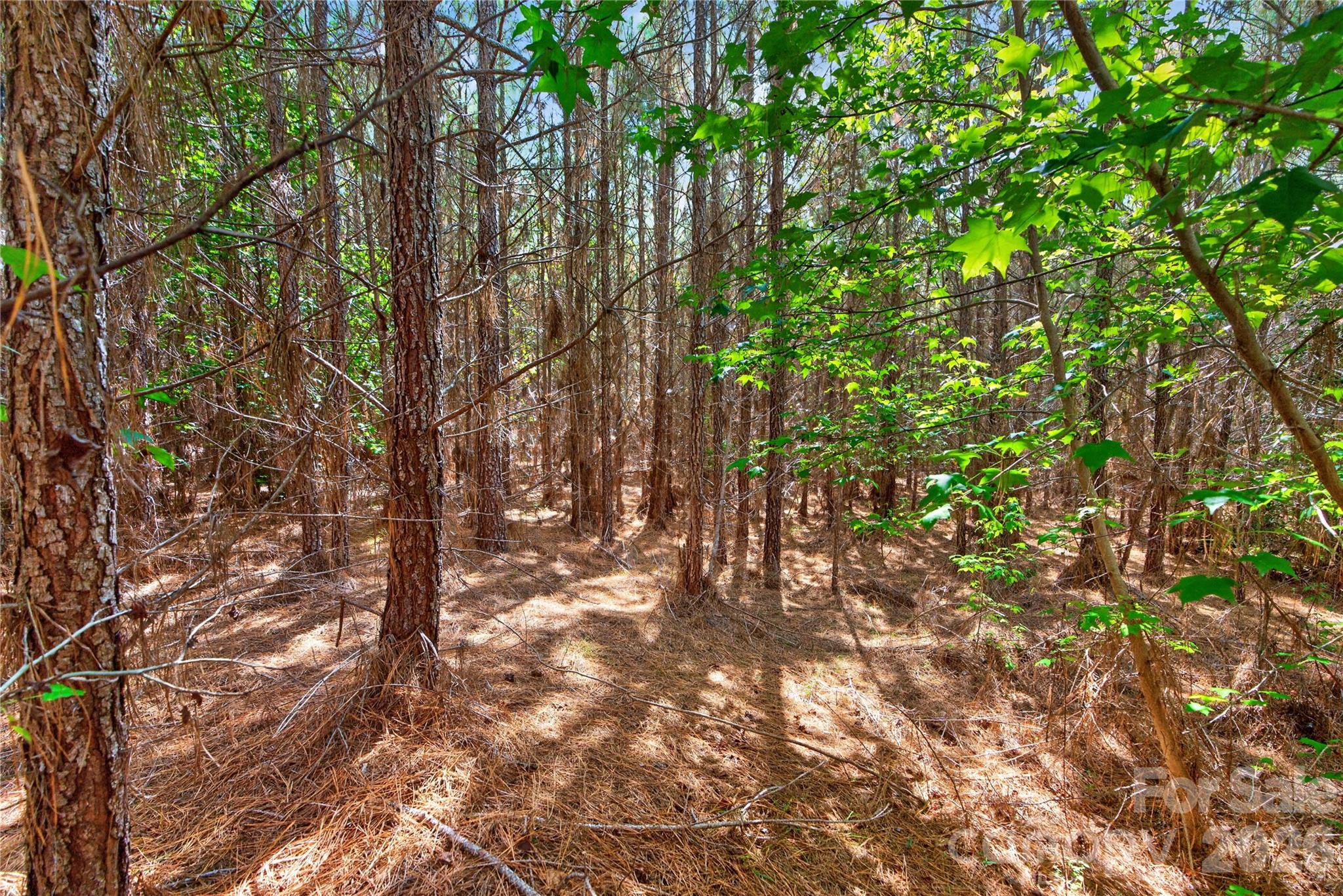 0000 Narrow Bridge Road 3 Property Photo 19