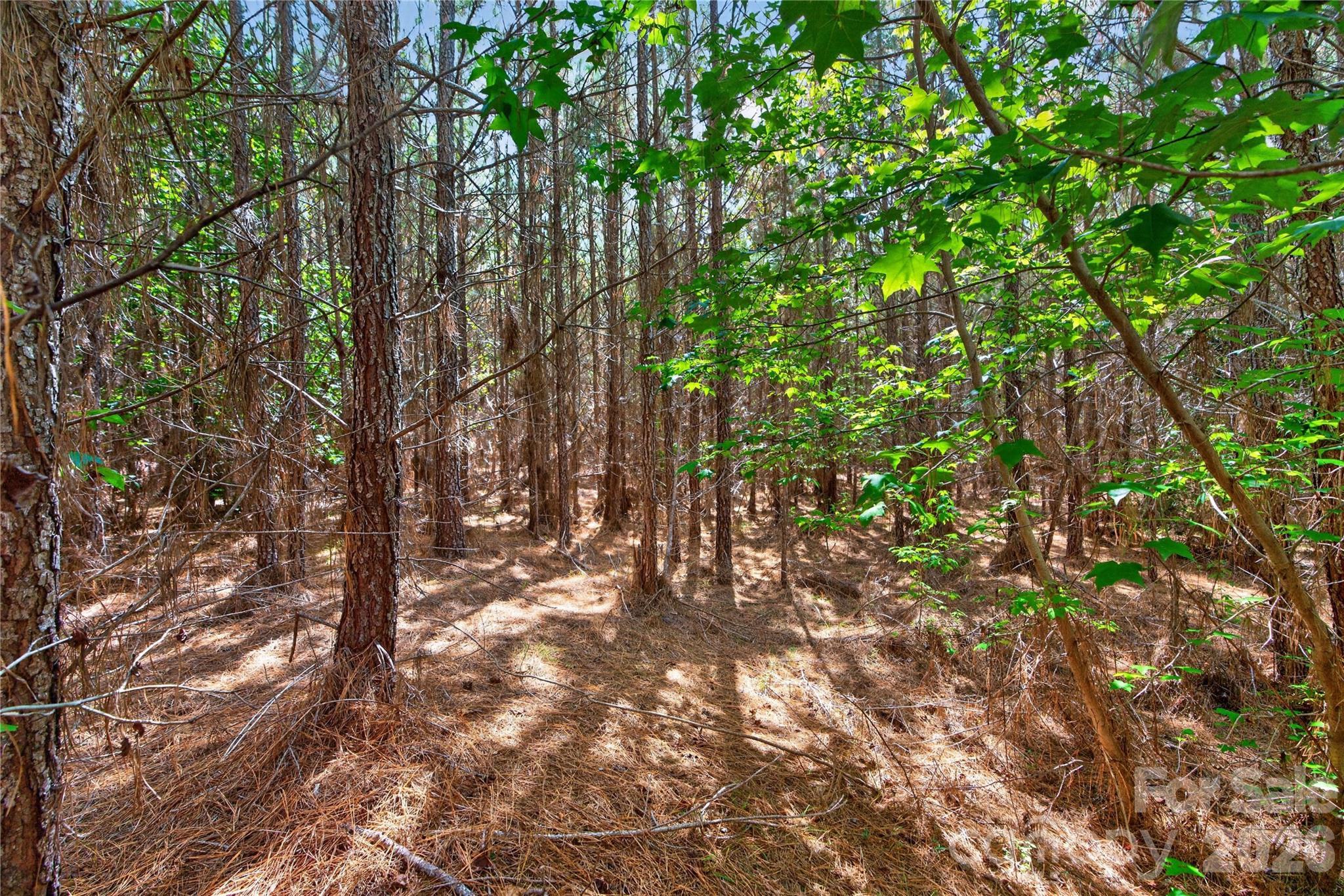0000 Narrow Bridge Road 3 Property Photo 20