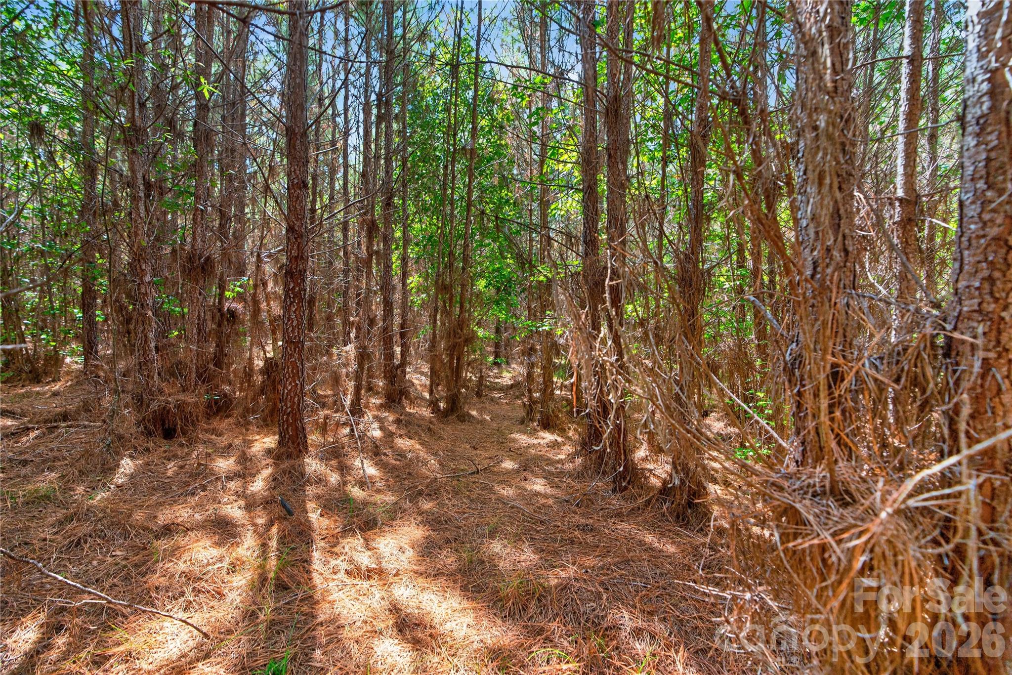 0000 Narrow Bridge Road 3 Property Photo 21