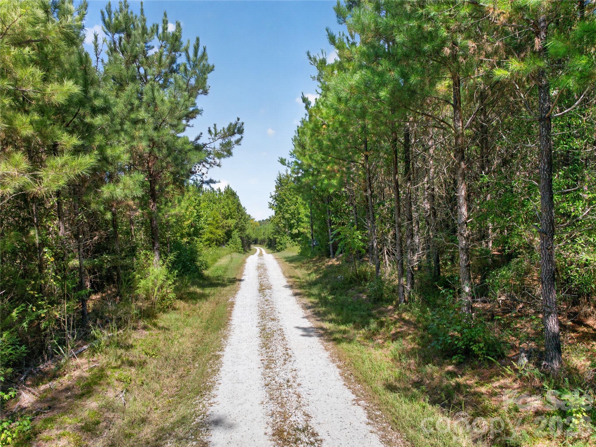 0000 Narrow Bridge Road 3 Property Photo 22