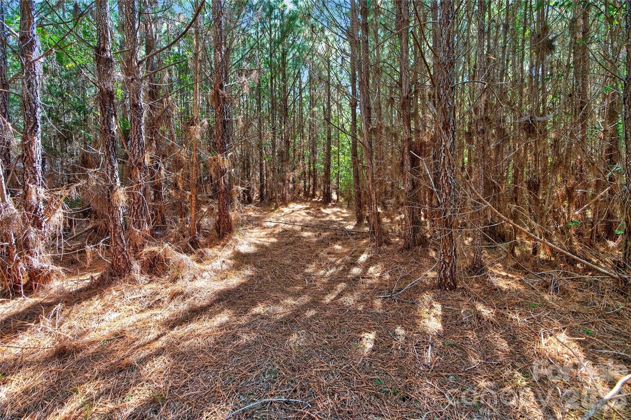 0000 Narrow Bridge Road 3 Property Photo 24