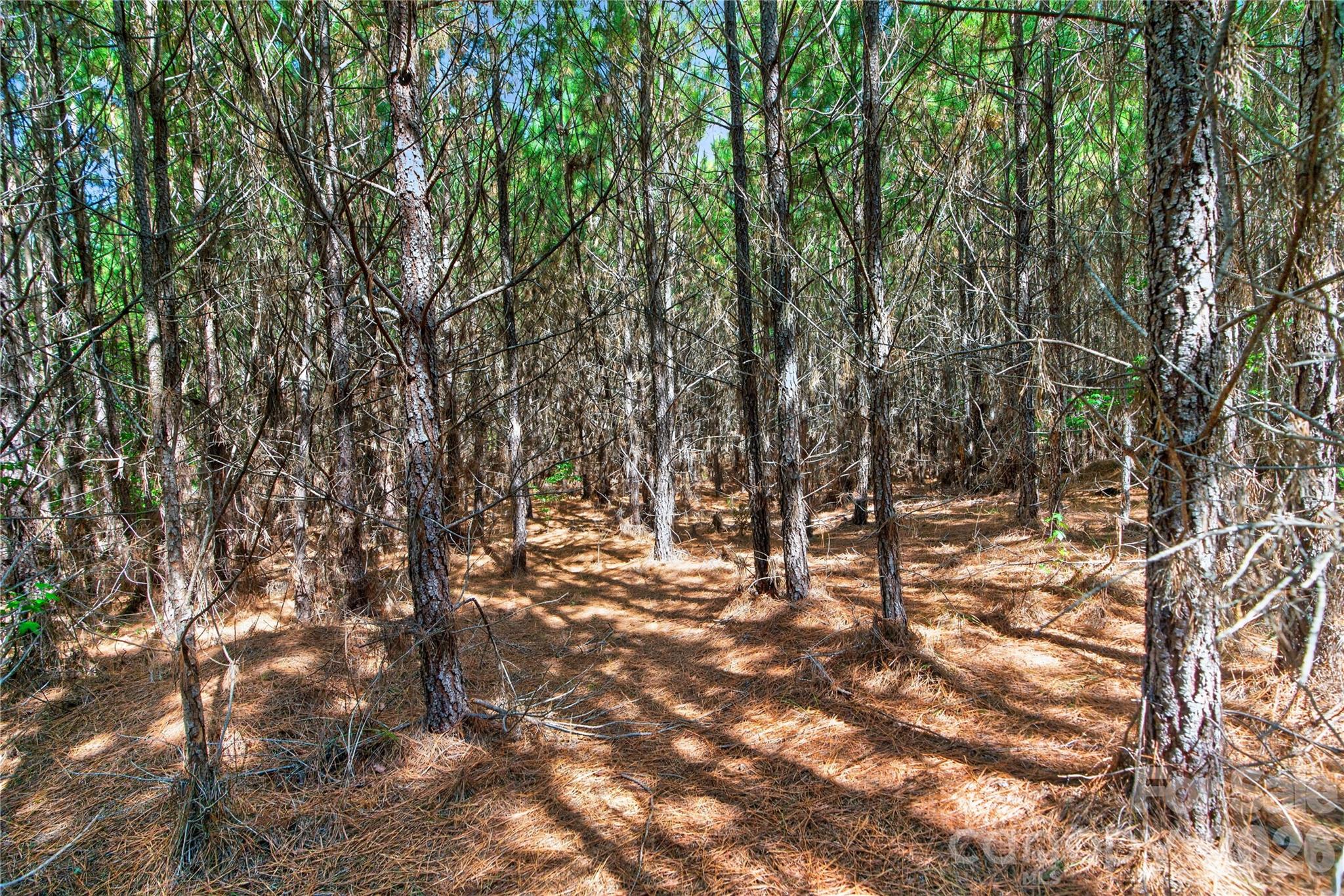 0000 Narrow Bridge Road 3 Property Photo 25