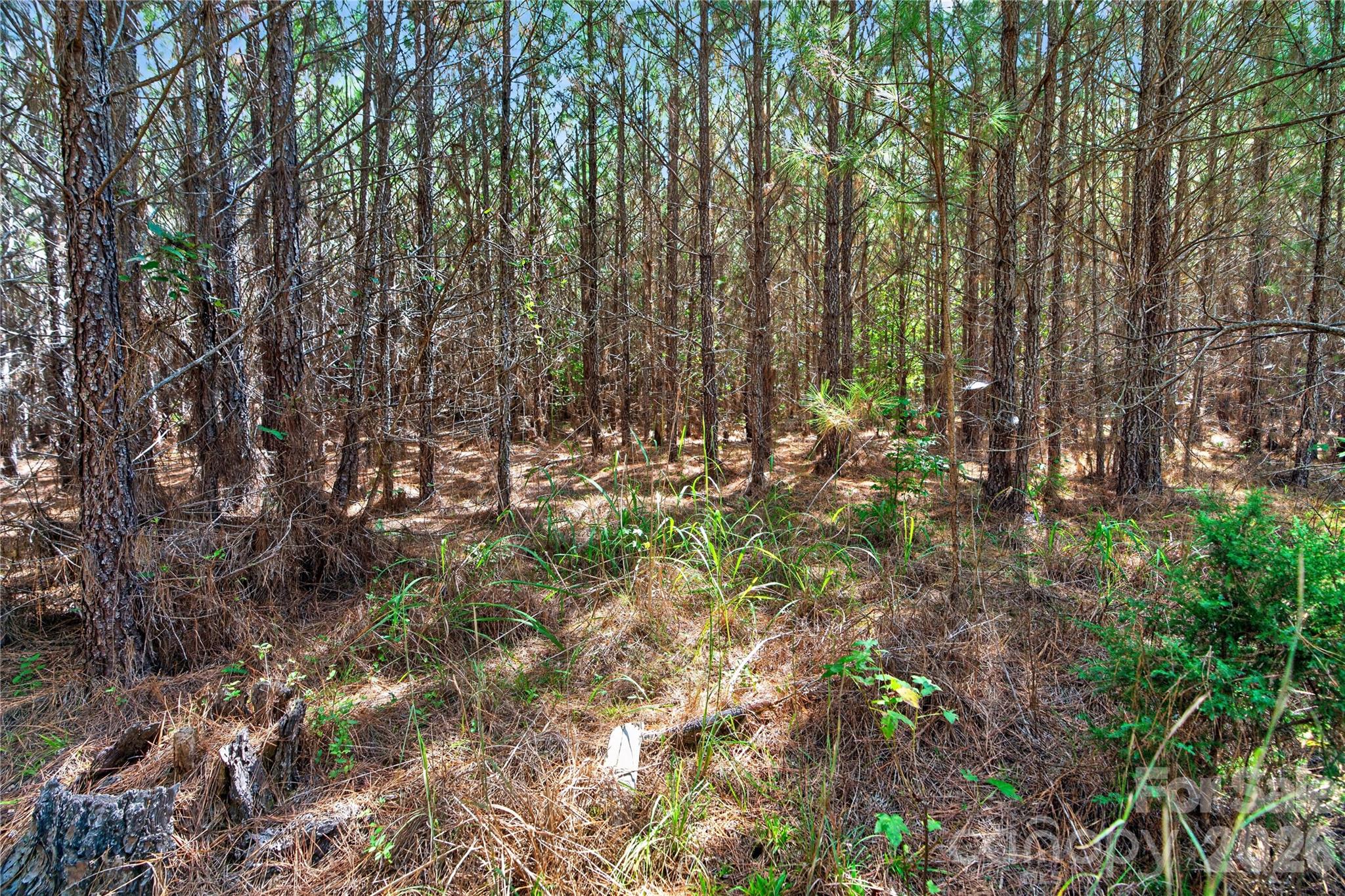 0000 Narrow Bridge Road 3 Property Photo 26