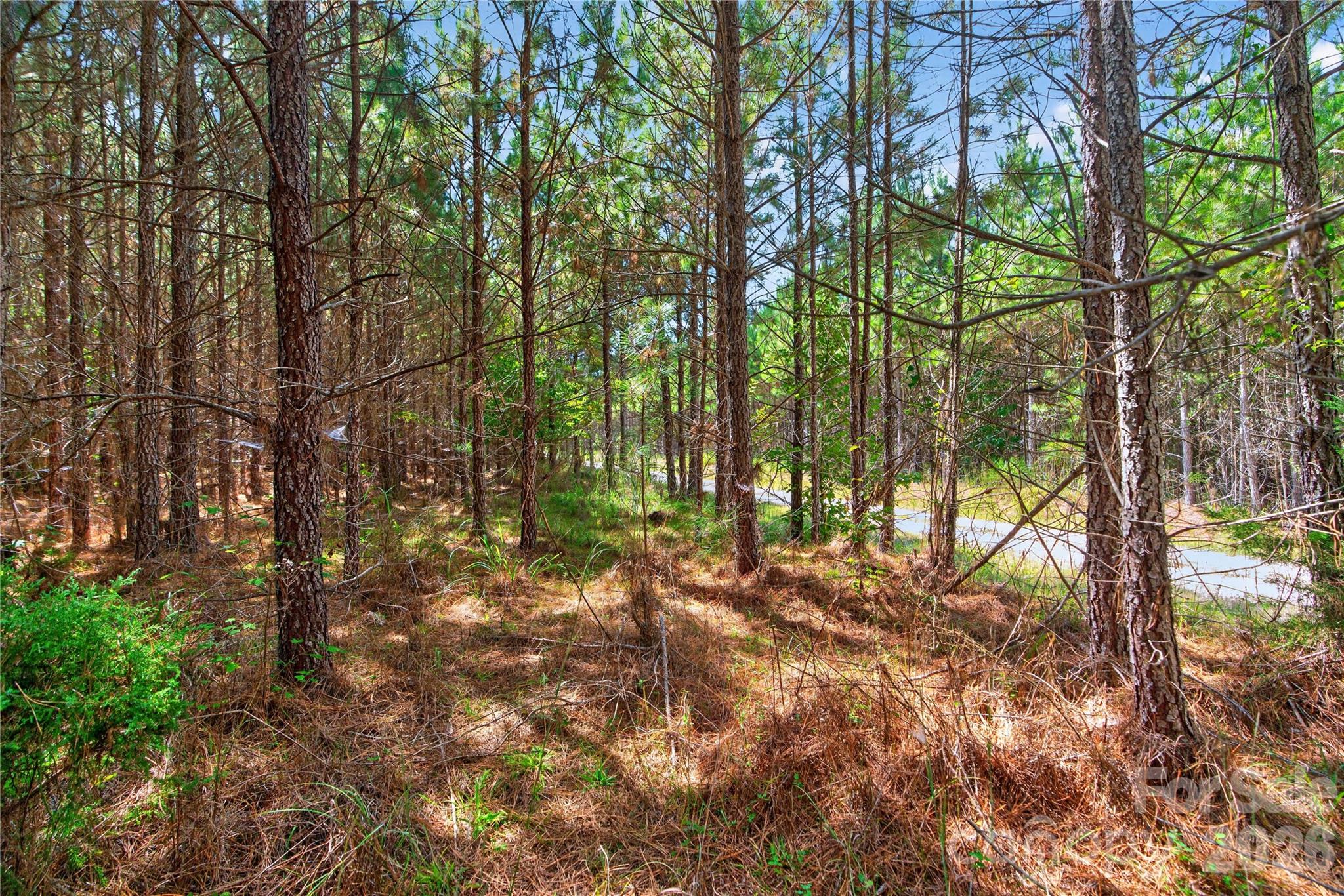 0000 Narrow Bridge Road 3 Property Photo 27