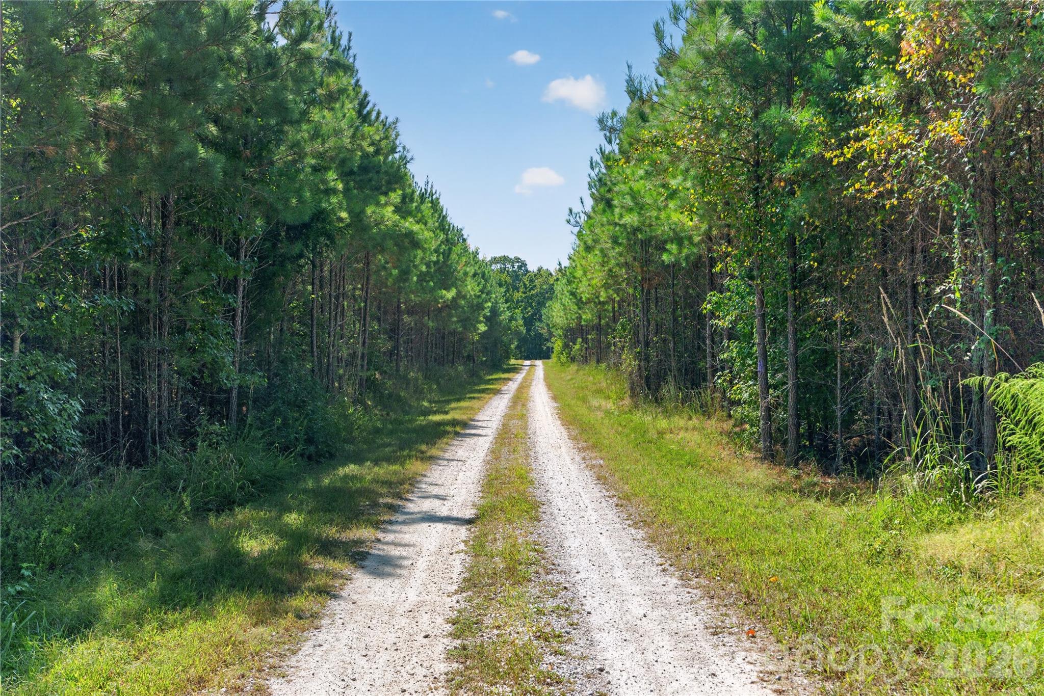 0000 Narrow Bridge Road 3 Property Photo 28