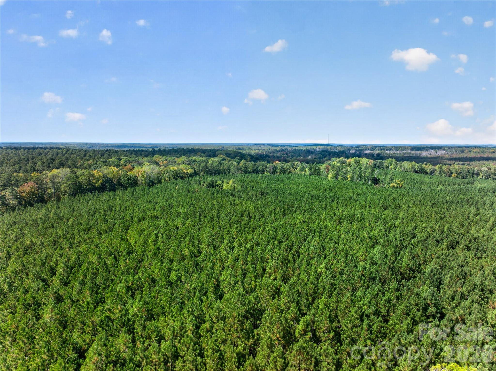 0000 Narrow Bridge Road 3 Property Photo 29