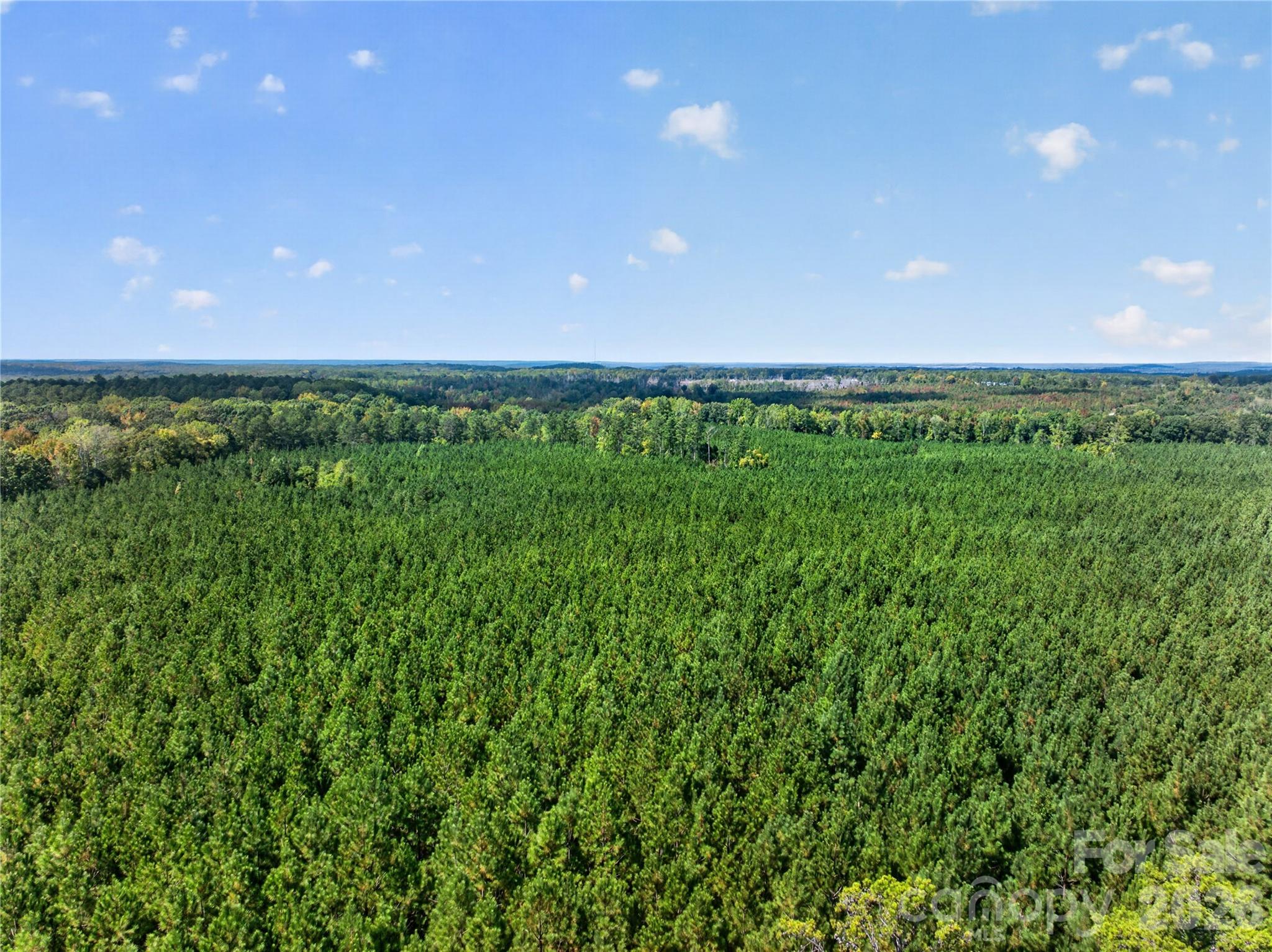 0000 Narrow Bridge Road 3 Property Photo 30