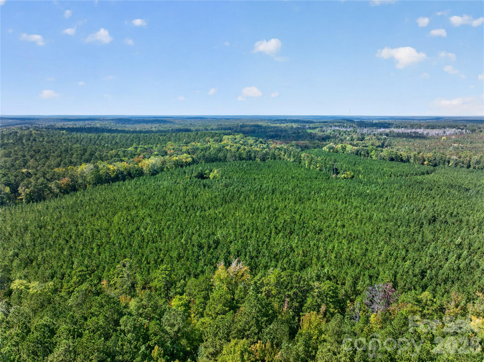 0000 Narrow Bridge Road 3 Property Photo 31