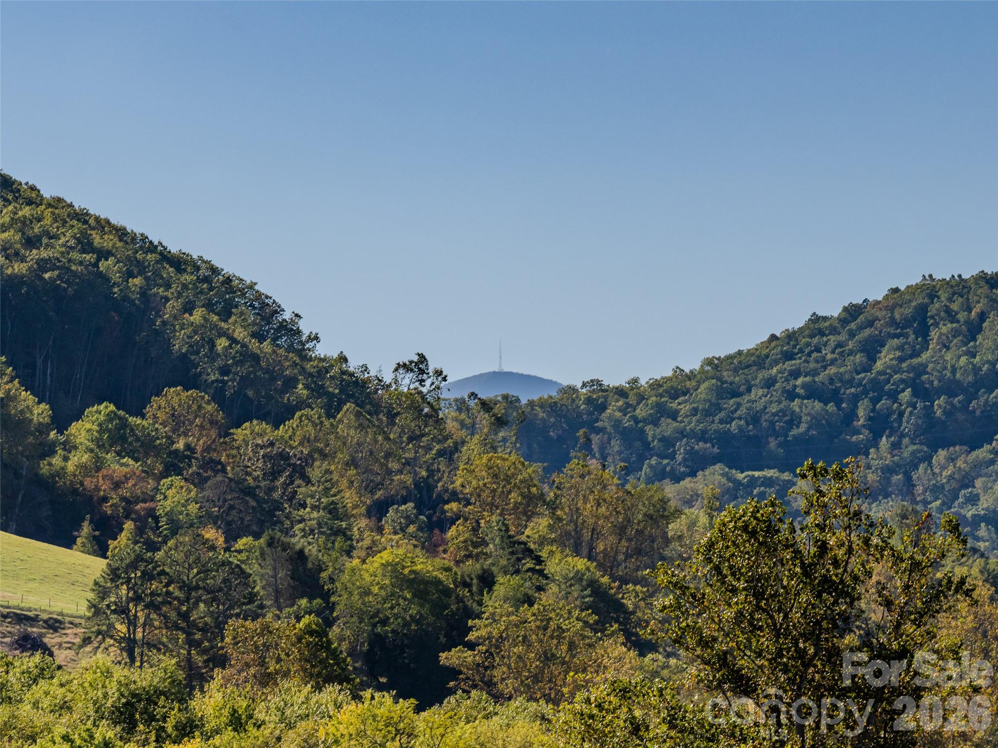 103 Hayes Ridge Lane Property Photo 4