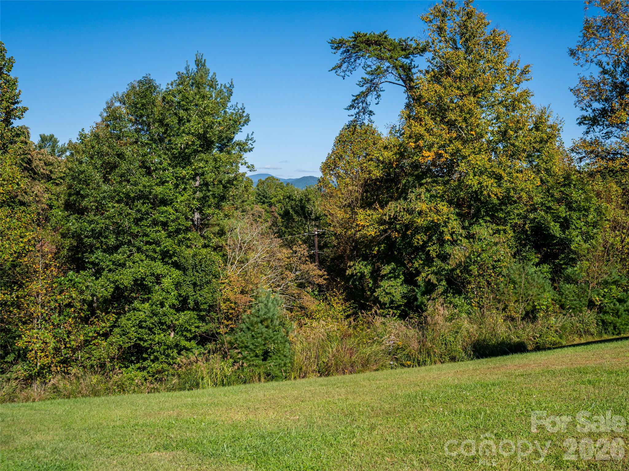 103 Hayes Ridge Lane Property Photo 42