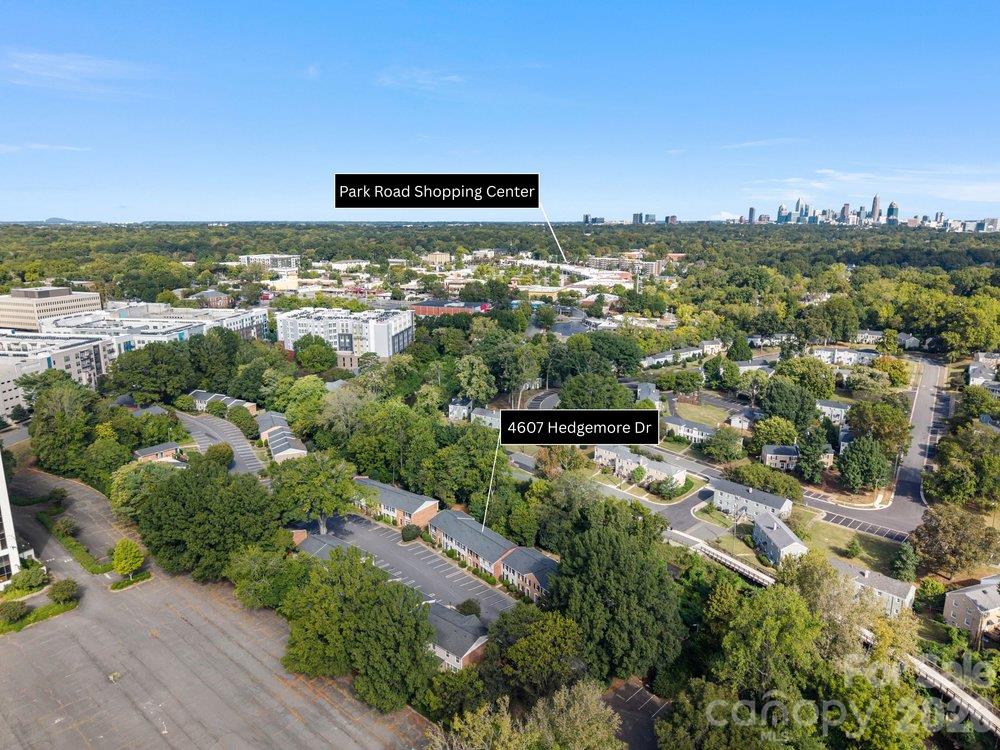 4607 Hedgemore Drive D Property Photo 19