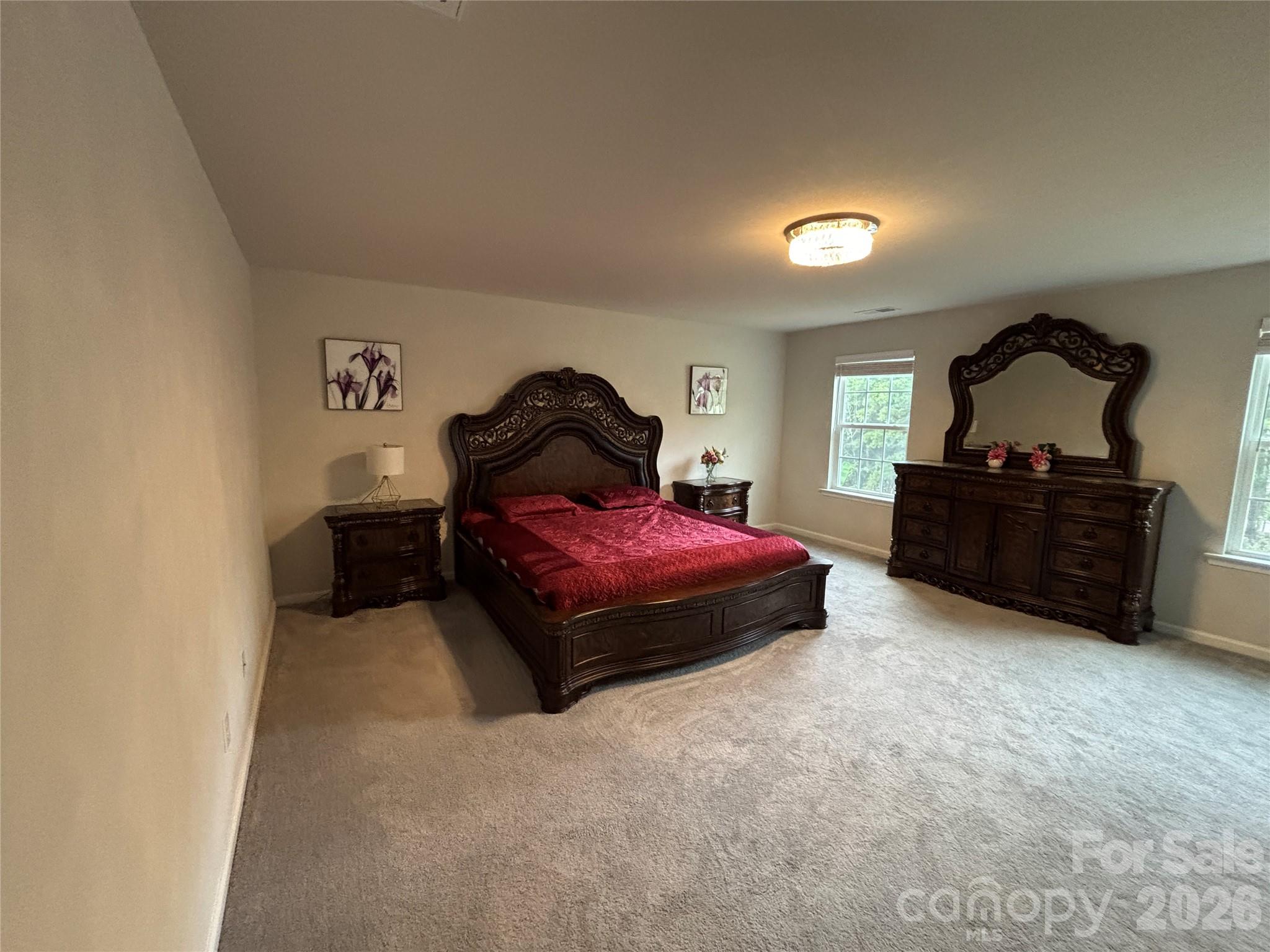 11202 Dappled Light Trail Property Photo 26