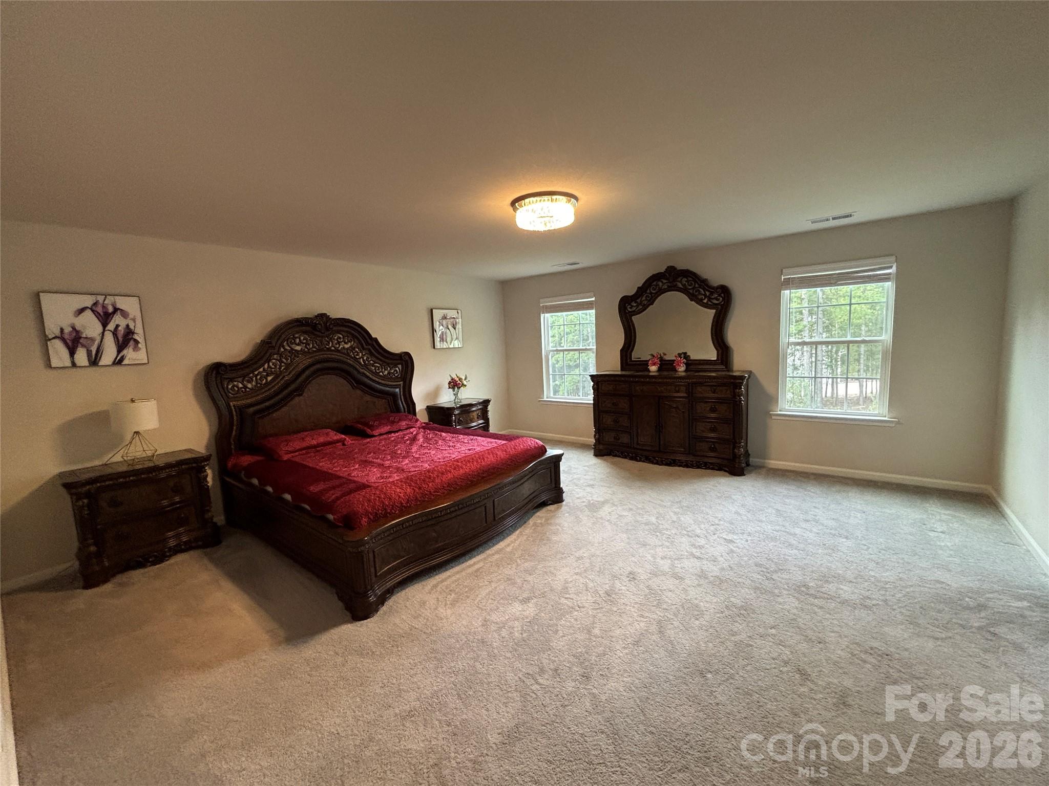 11202 Dappled Light Trail Property Photo 27