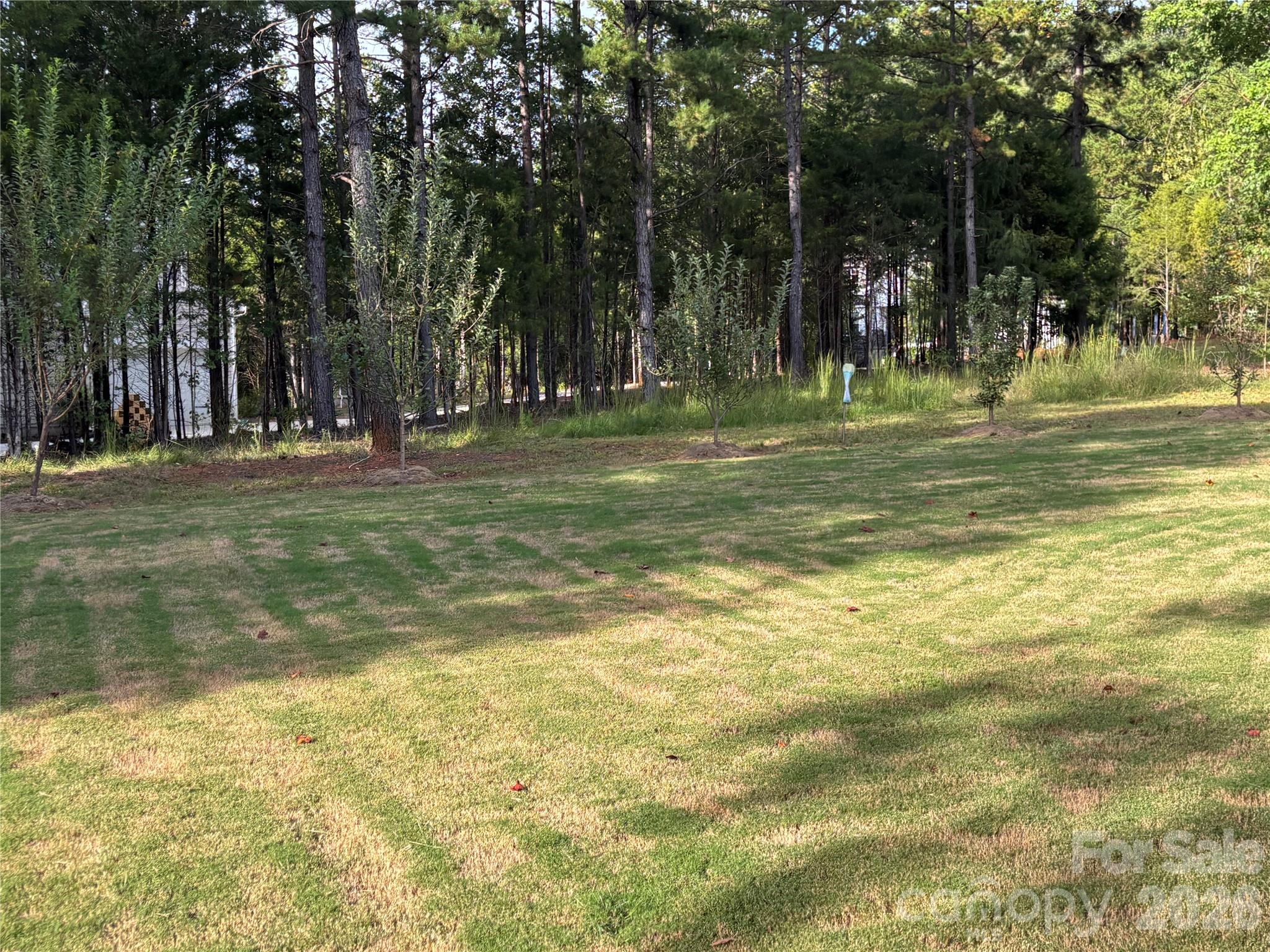 11202 Dappled Light Trail Property Photo 41