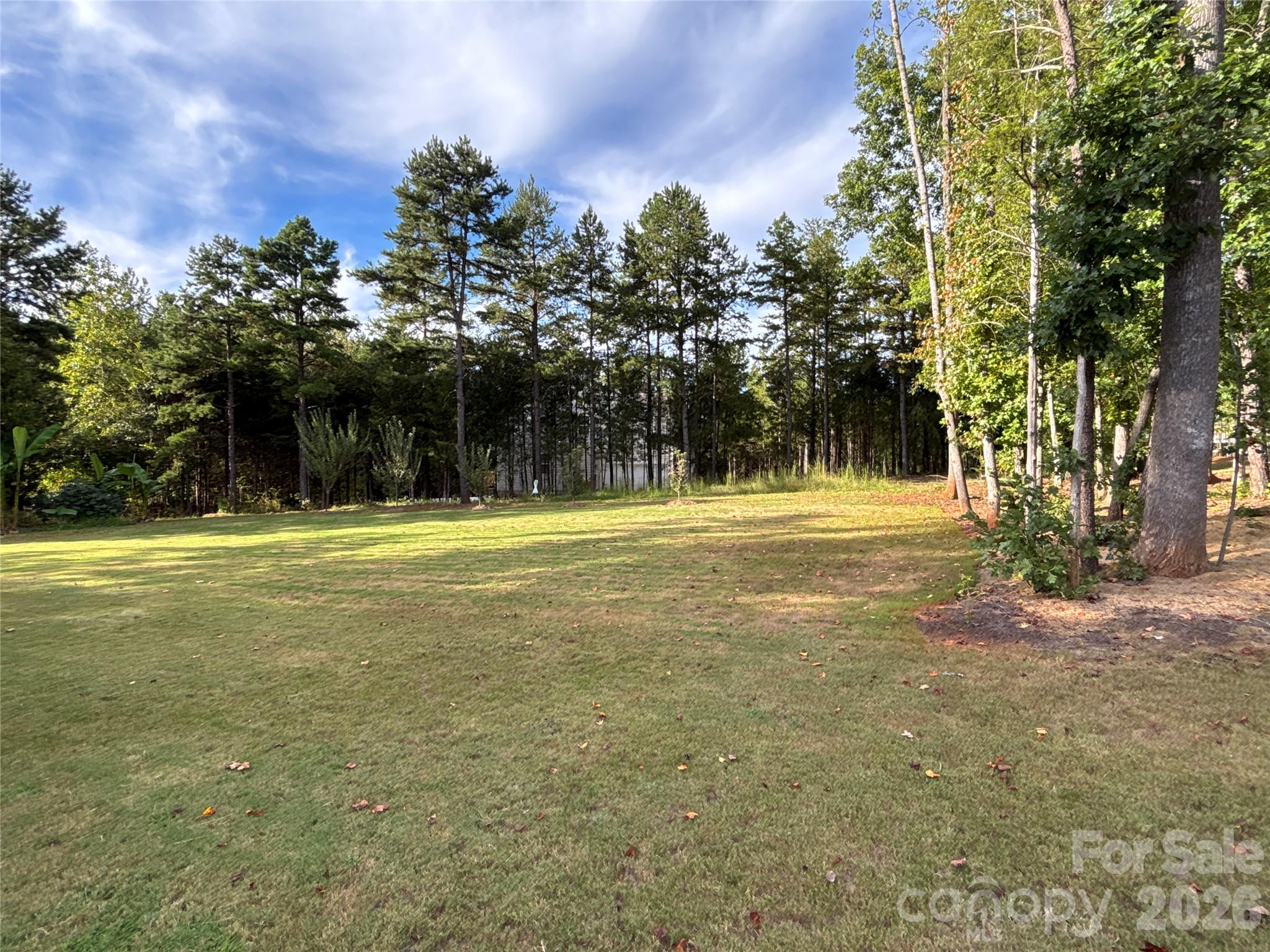 11202 Dappled Light Trail Property Photo 42