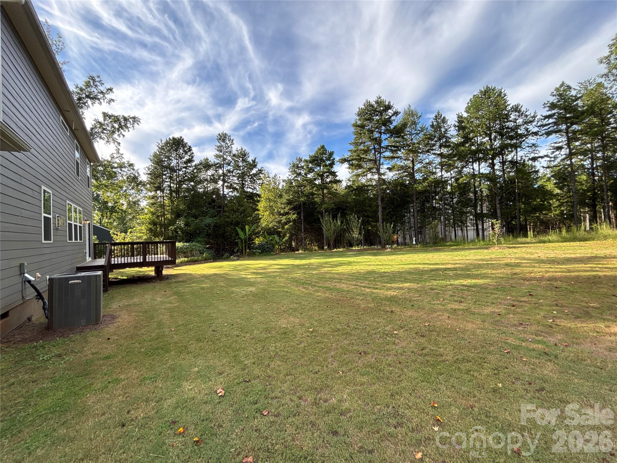 11202 Dappled Light Trail Property Photo 43