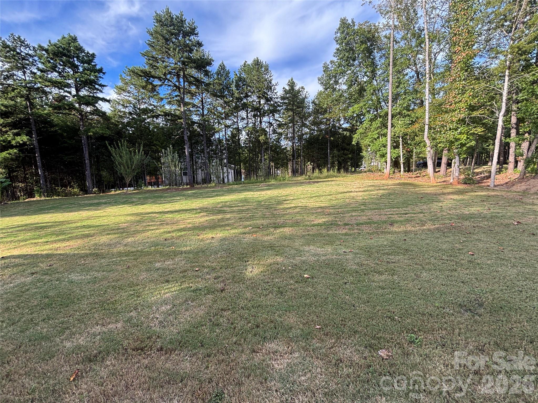 11202 Dappled Light Trail Property Photo 44