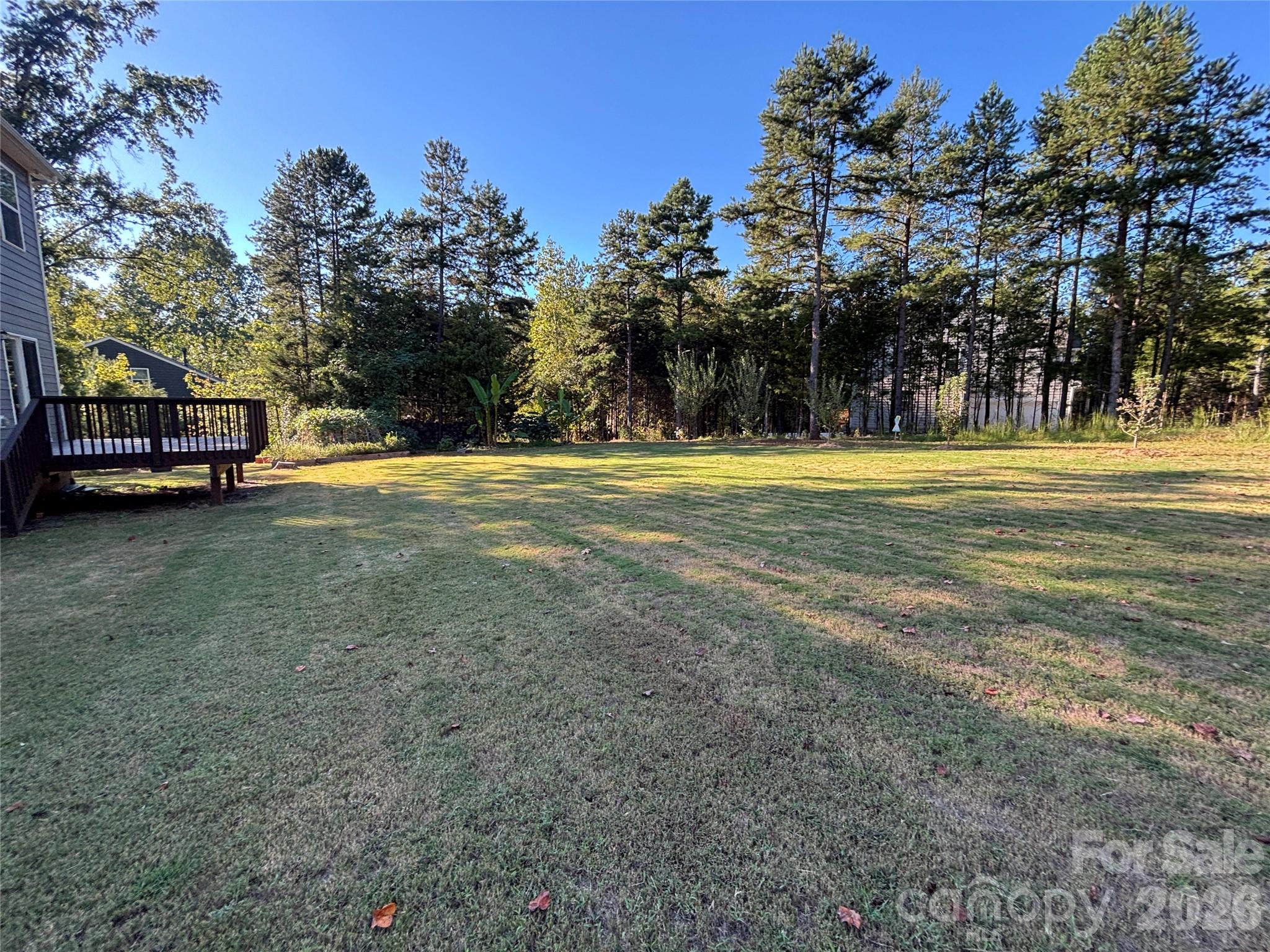 11202 Dappled Light Trail Property Photo 45