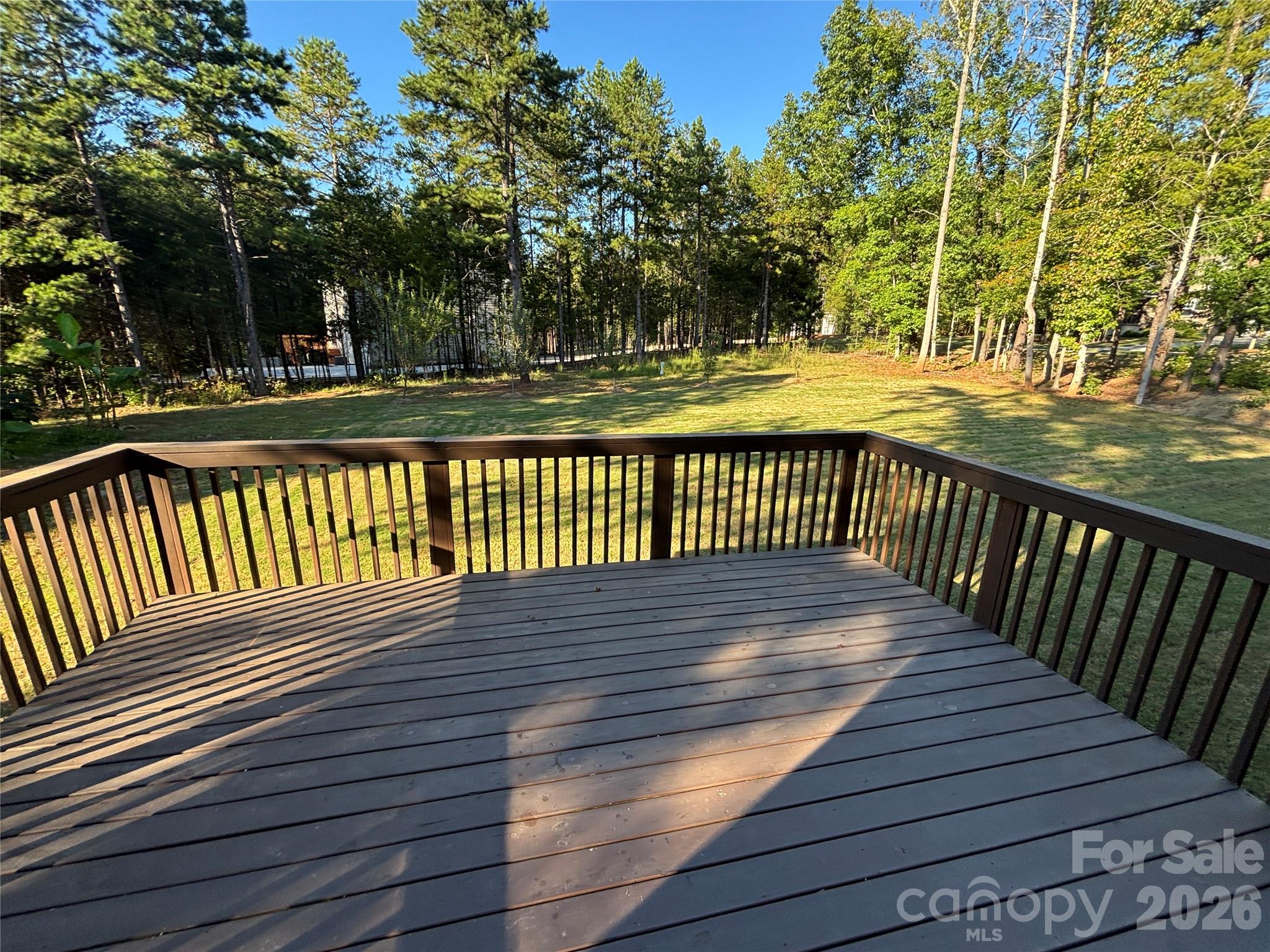 11202 Dappled Light Trail Property Photo 47