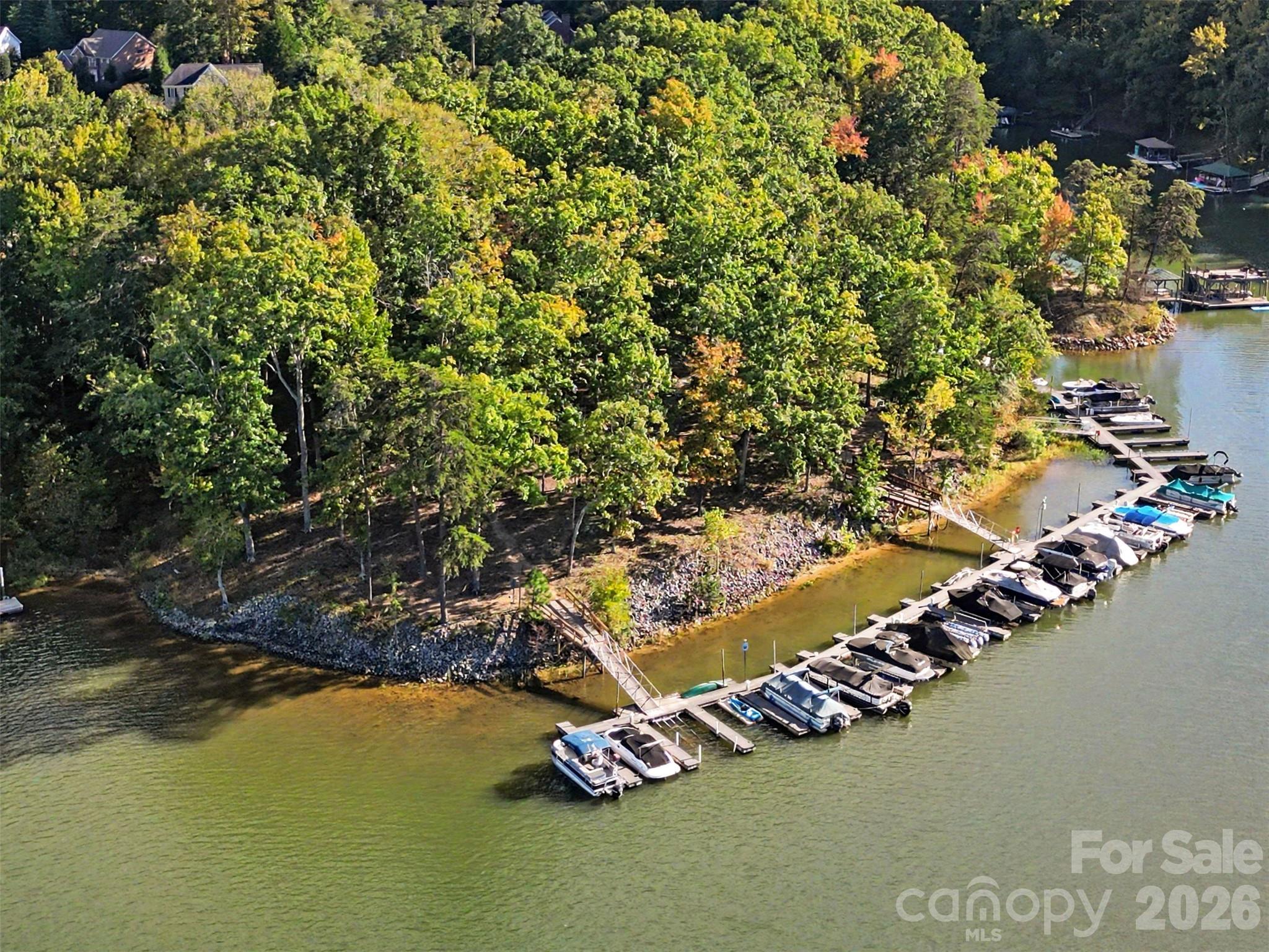 11538 Shimmering Lake Drive Property Photo 43