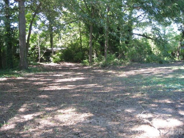 207 Palmer Street Property Photo 4