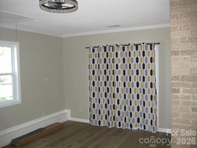 207 Palmer Street Property Photo 11