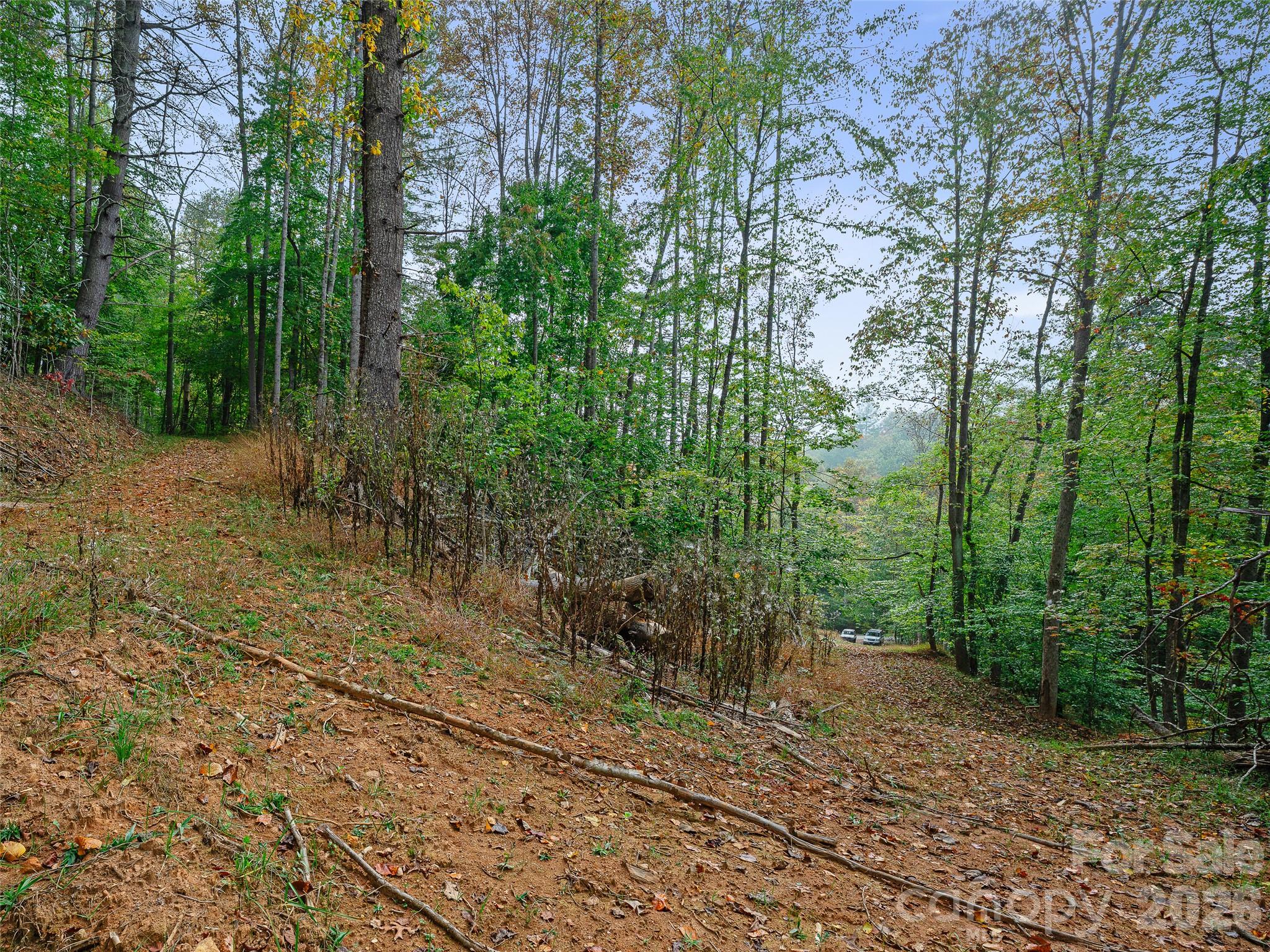 000 Double Island Road Property Photo 15