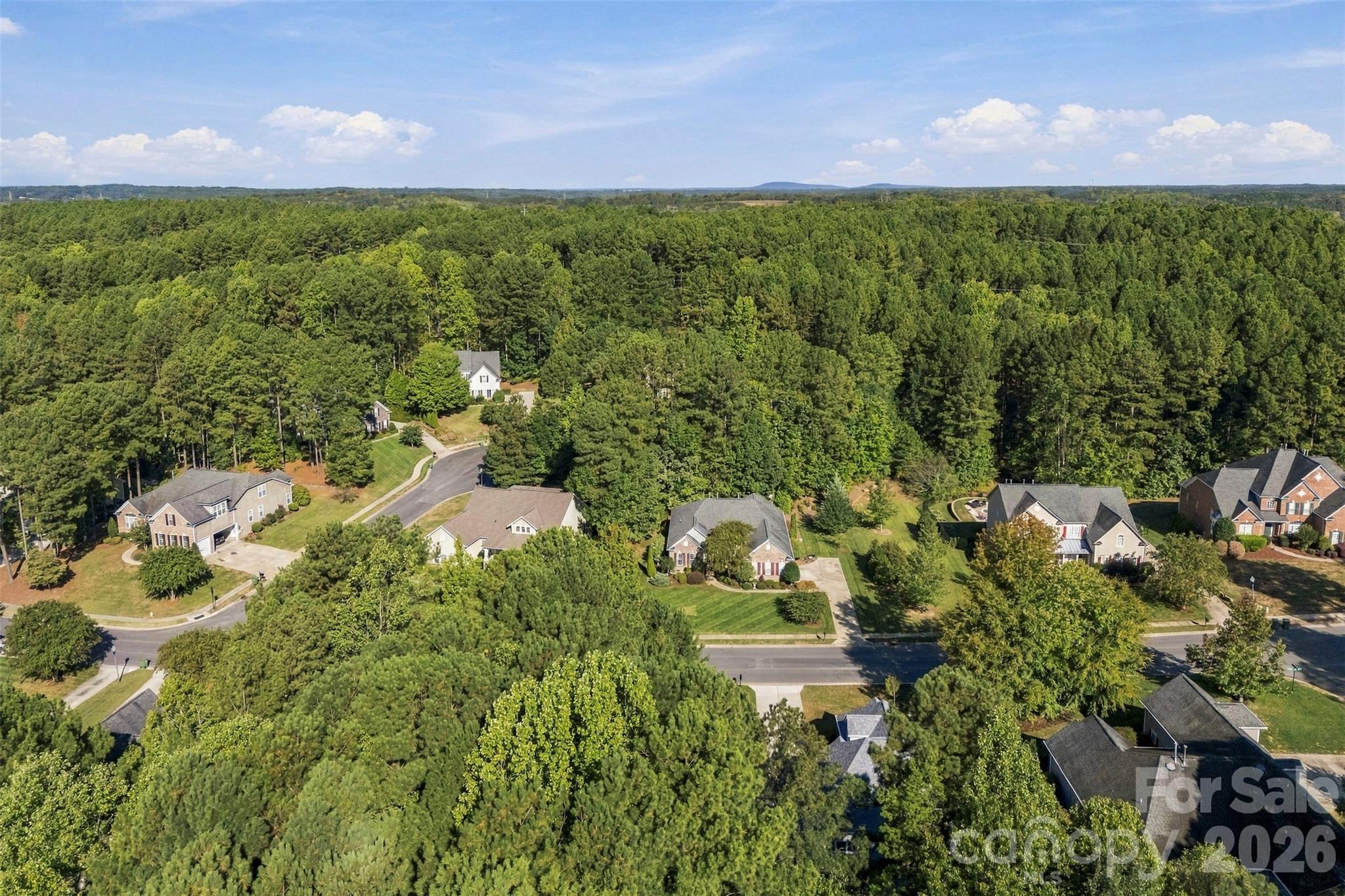 205 Woodward Ridge Drive Property Photo 40