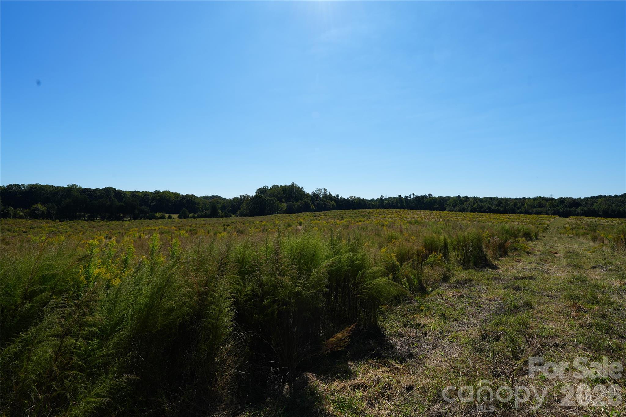 10ac Log Drive 3 Property Photo 1