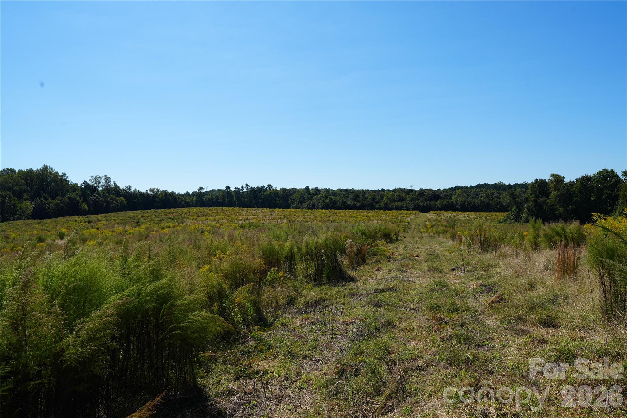 10ac Log Drive 3 Property Photo 2