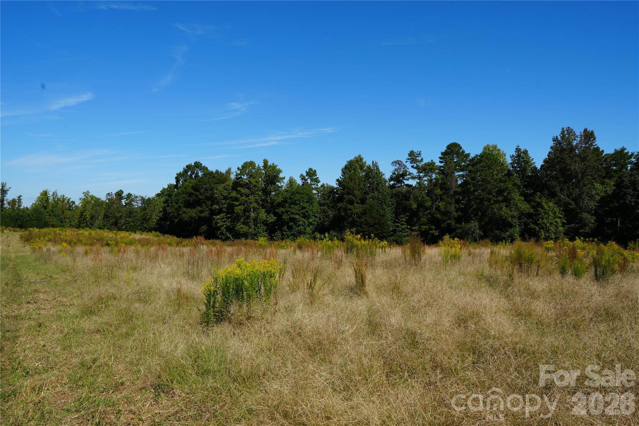 10ac Log Drive 3 Property Photo 3