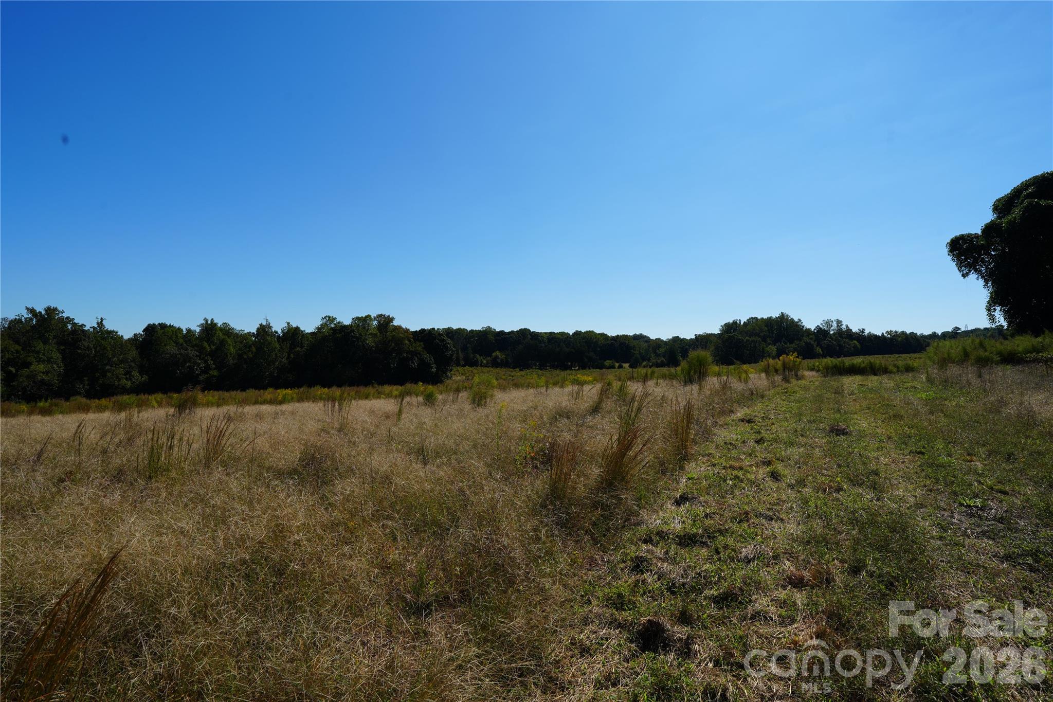 10ac Log Drive 3 Property Photo 4