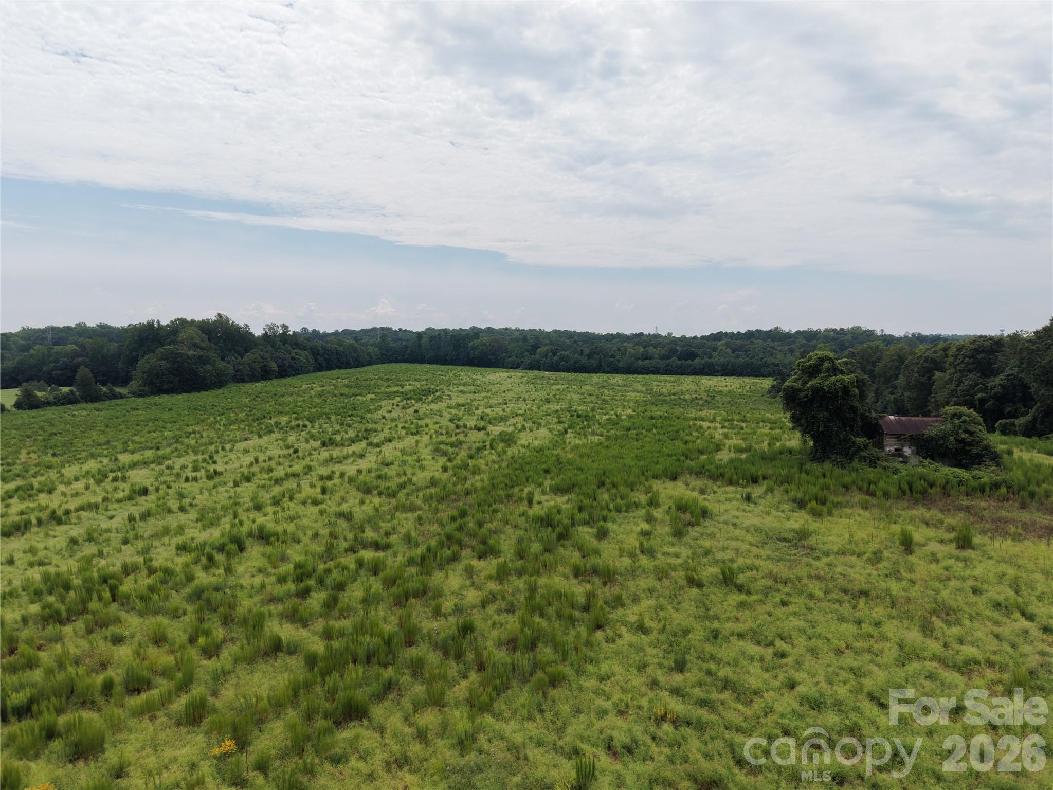 10ac Log Drive 3 Property Photo 5