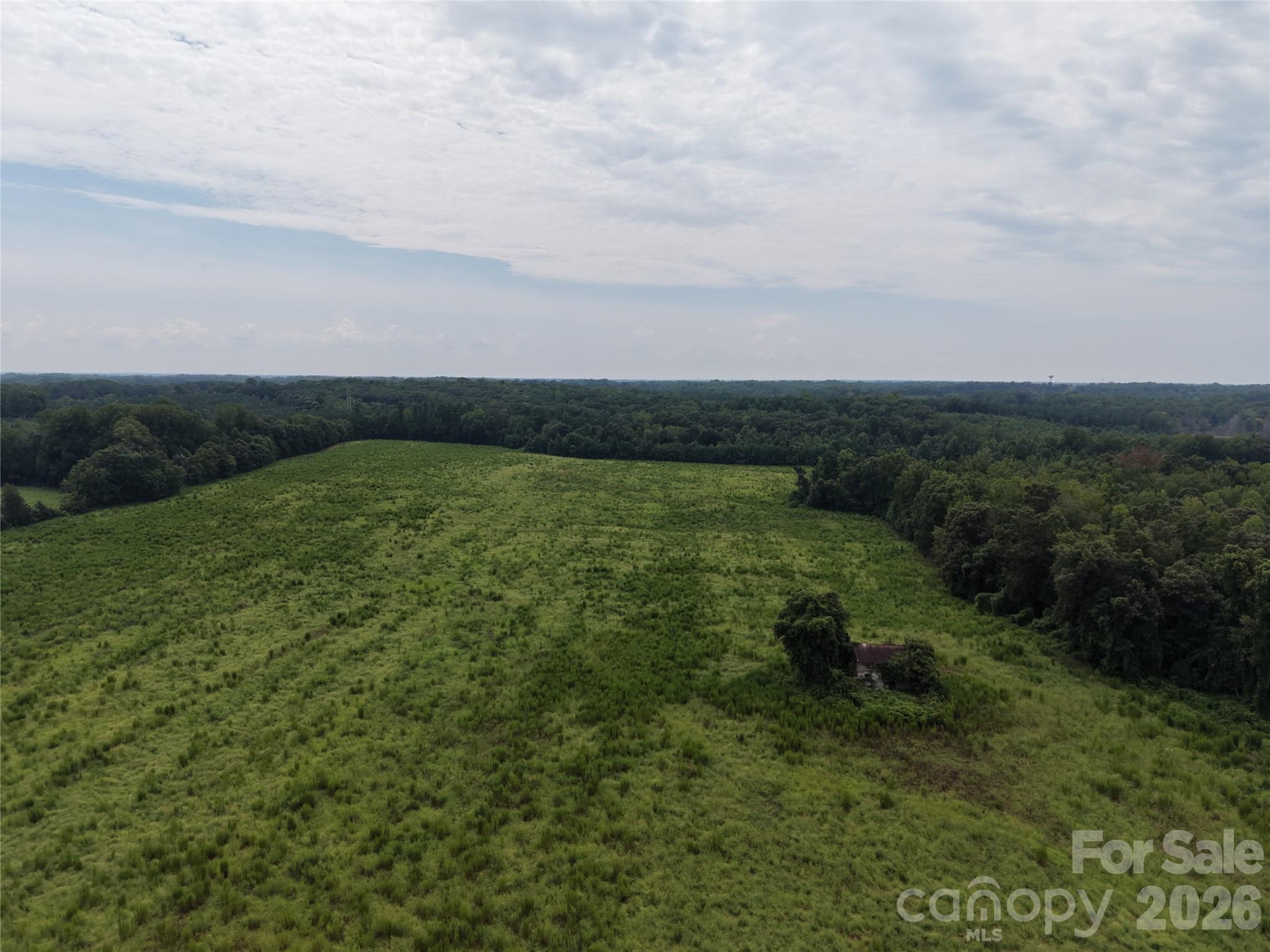 10ac Log Drive 3 Property Photo 7