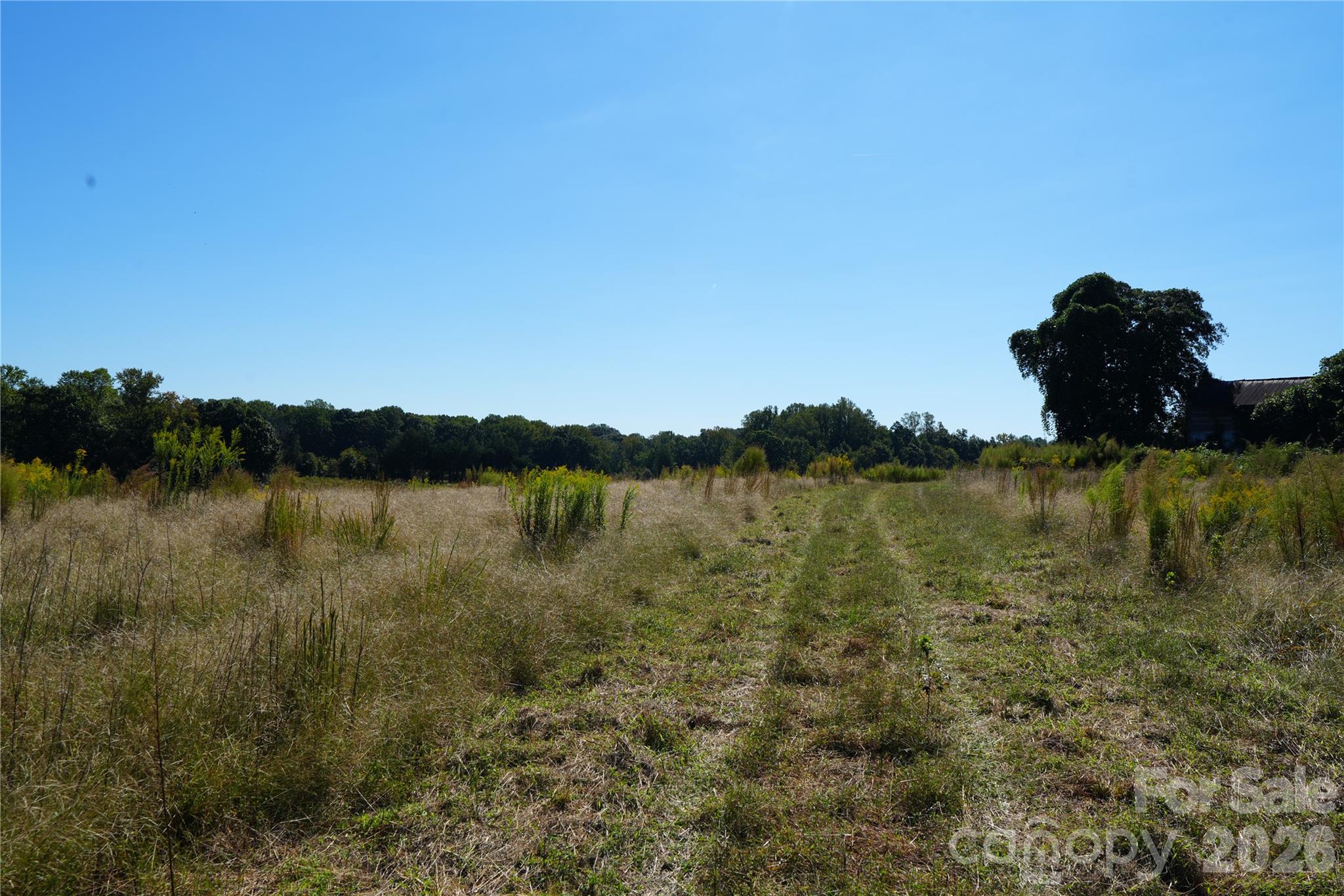 10ac Log Drive 3 Property Photo 8