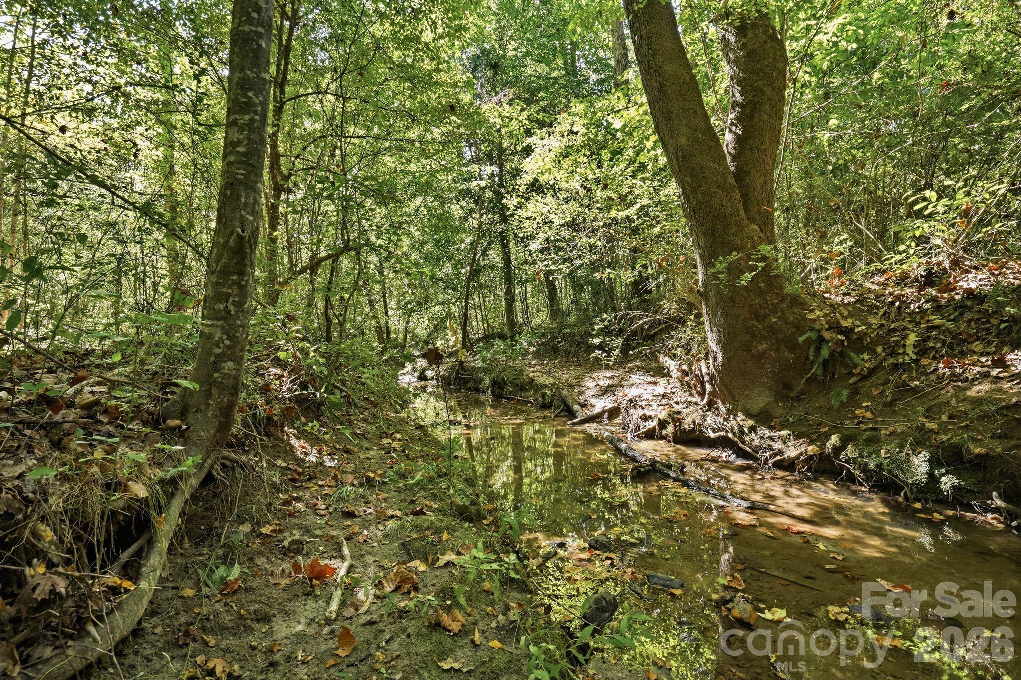 1130 Wetmore Road Property Photo 12