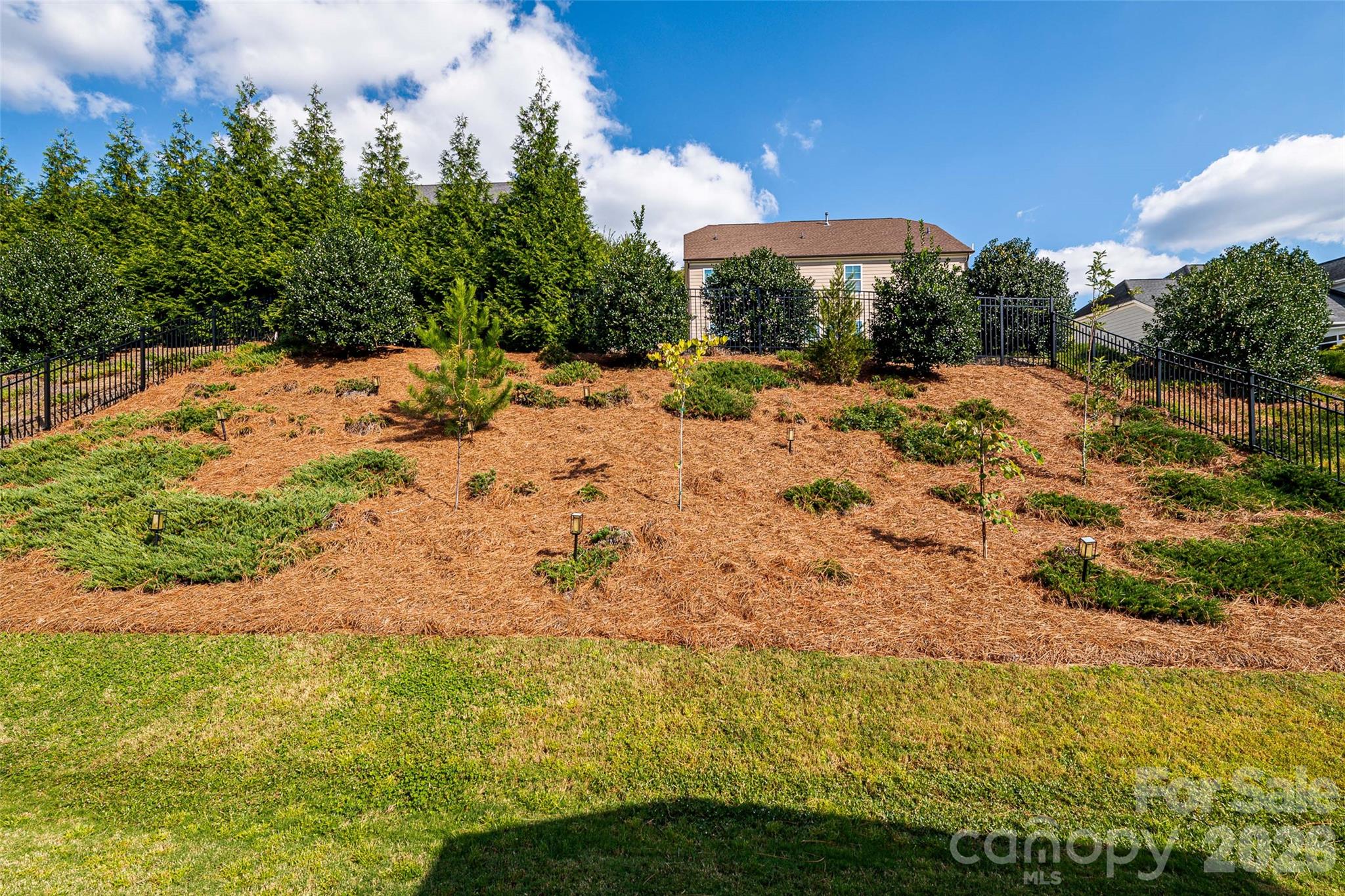 14105 Samuel Merritt Drive Property Photo 46