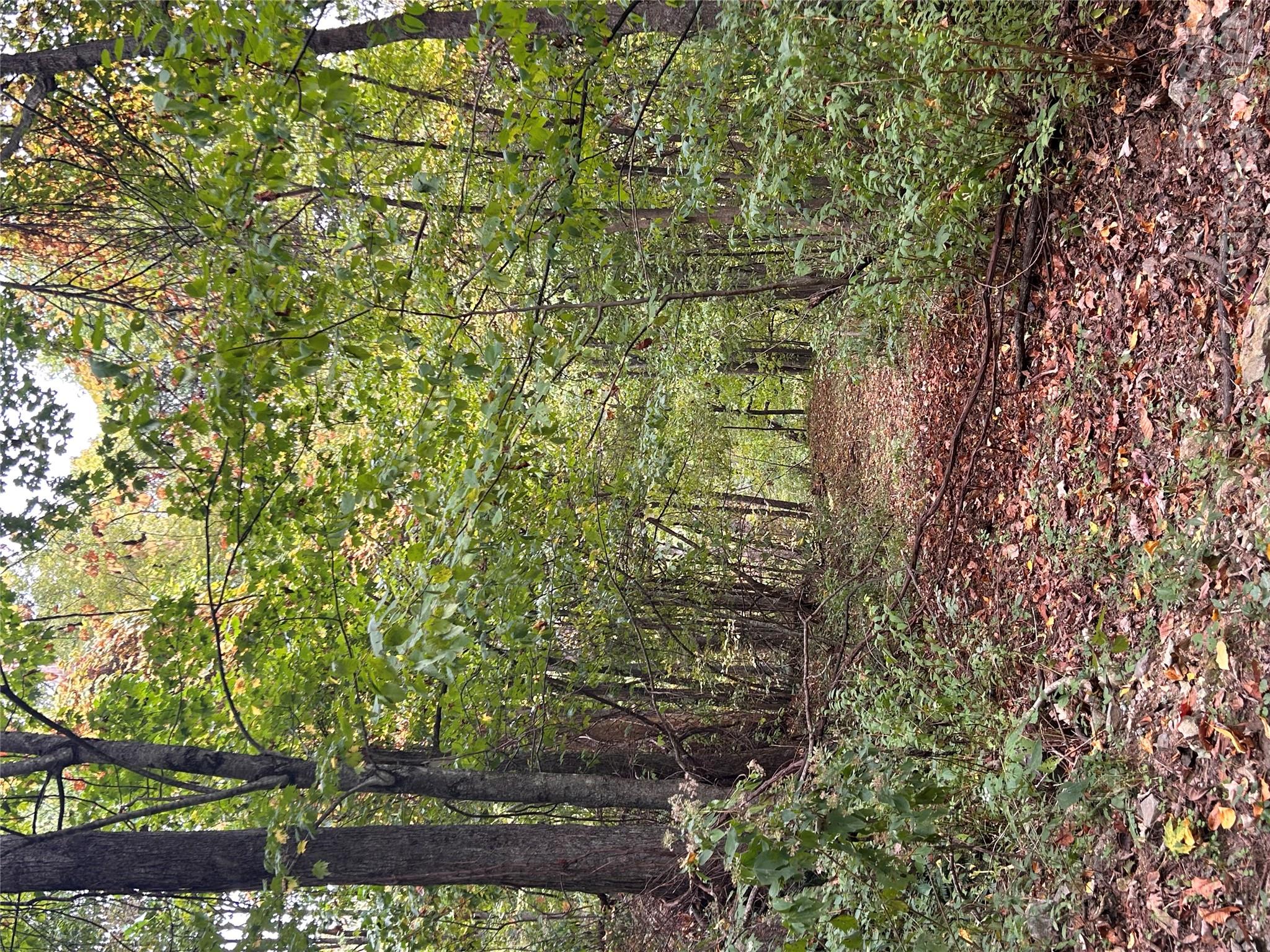 340 Wayah Zooshuga Road Property Photo 24