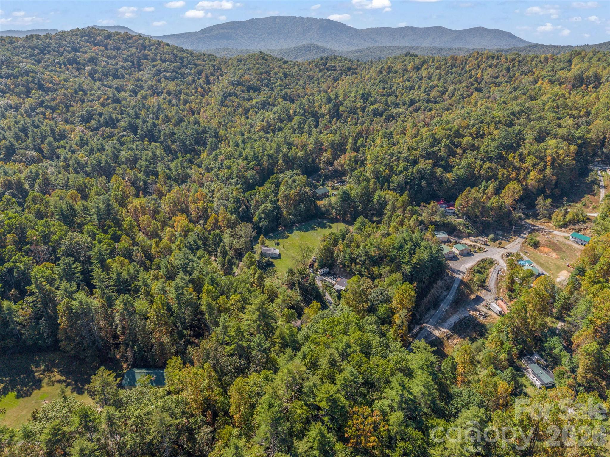 468 Willow Springs Cove Property Photo 41