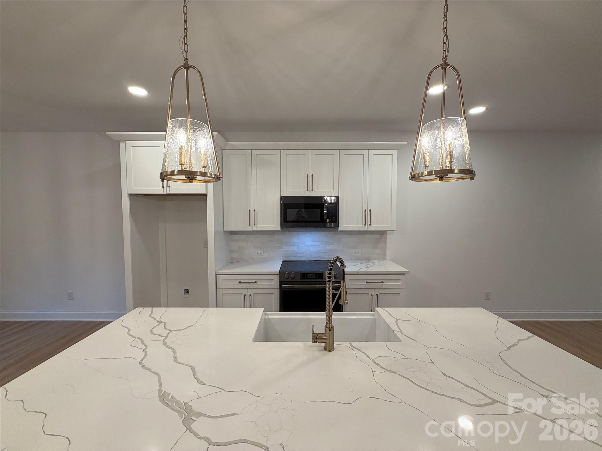 1319 Scout Road Property Photo 3