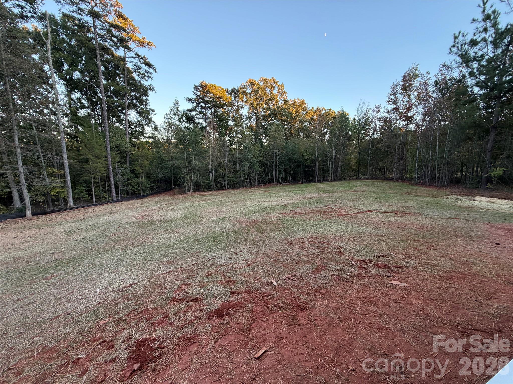1319 Scout Road Property Photo 18