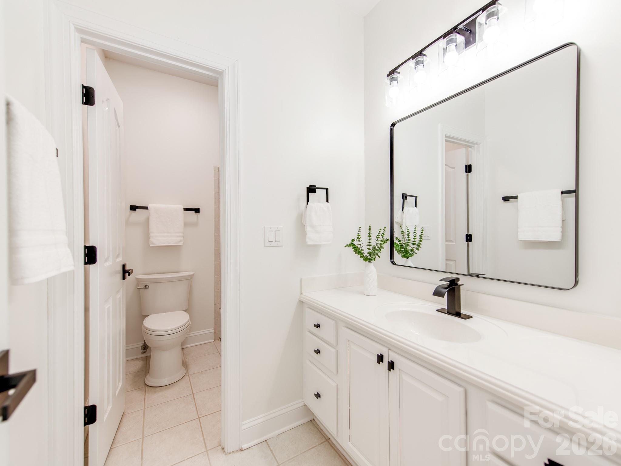 2910 Providence View Lane Property Photo 40