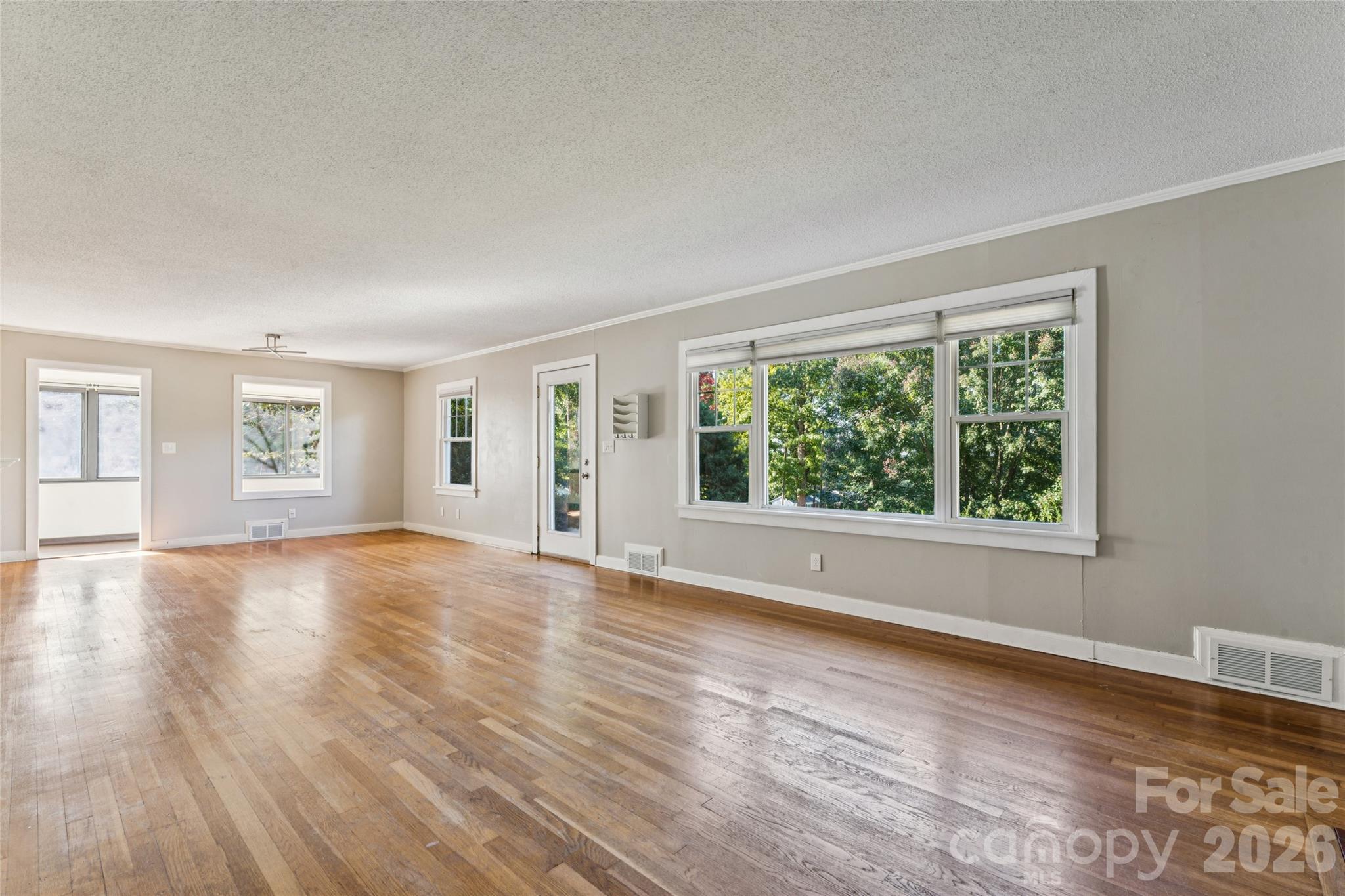 37 Elm Street Property Photo 6