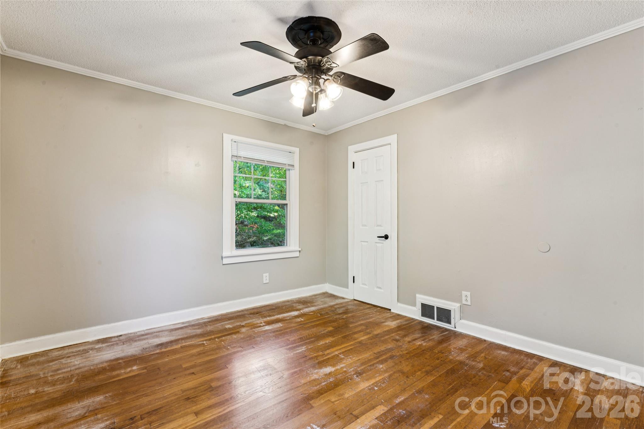 37 Elm Street Property Photo 19