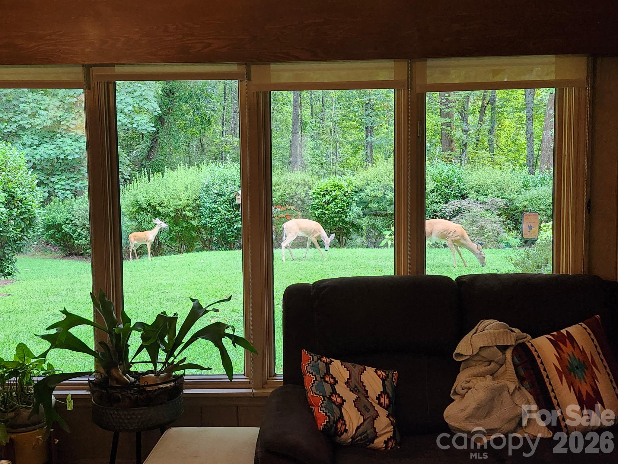 459 Forest Heights Drive Property Photo 44