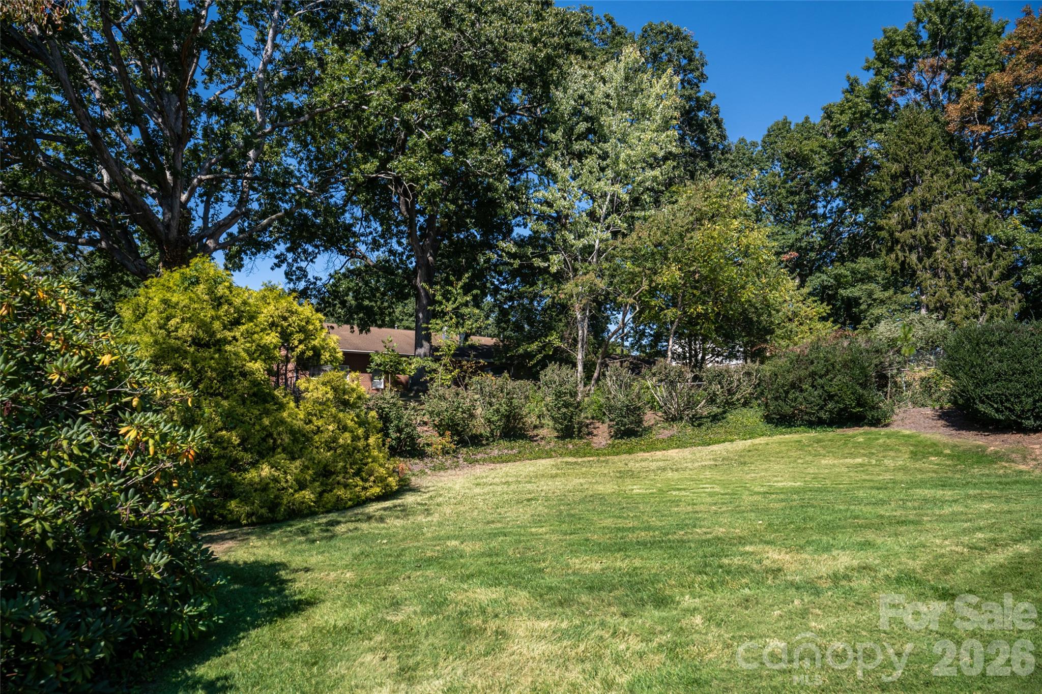 23 Wagon Road Property Photo 6